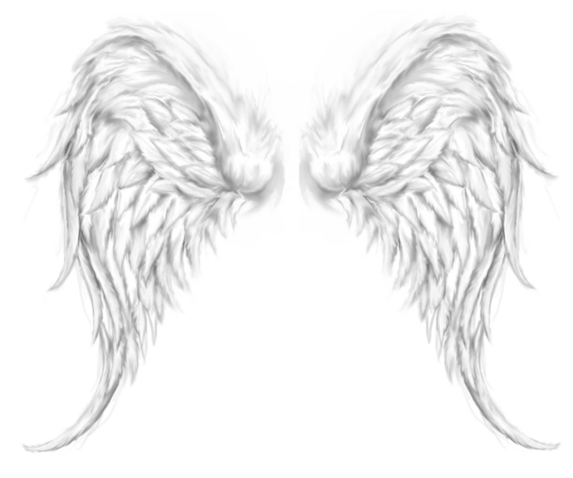 Angel Wings Wallpapers - Wallpaper Cave