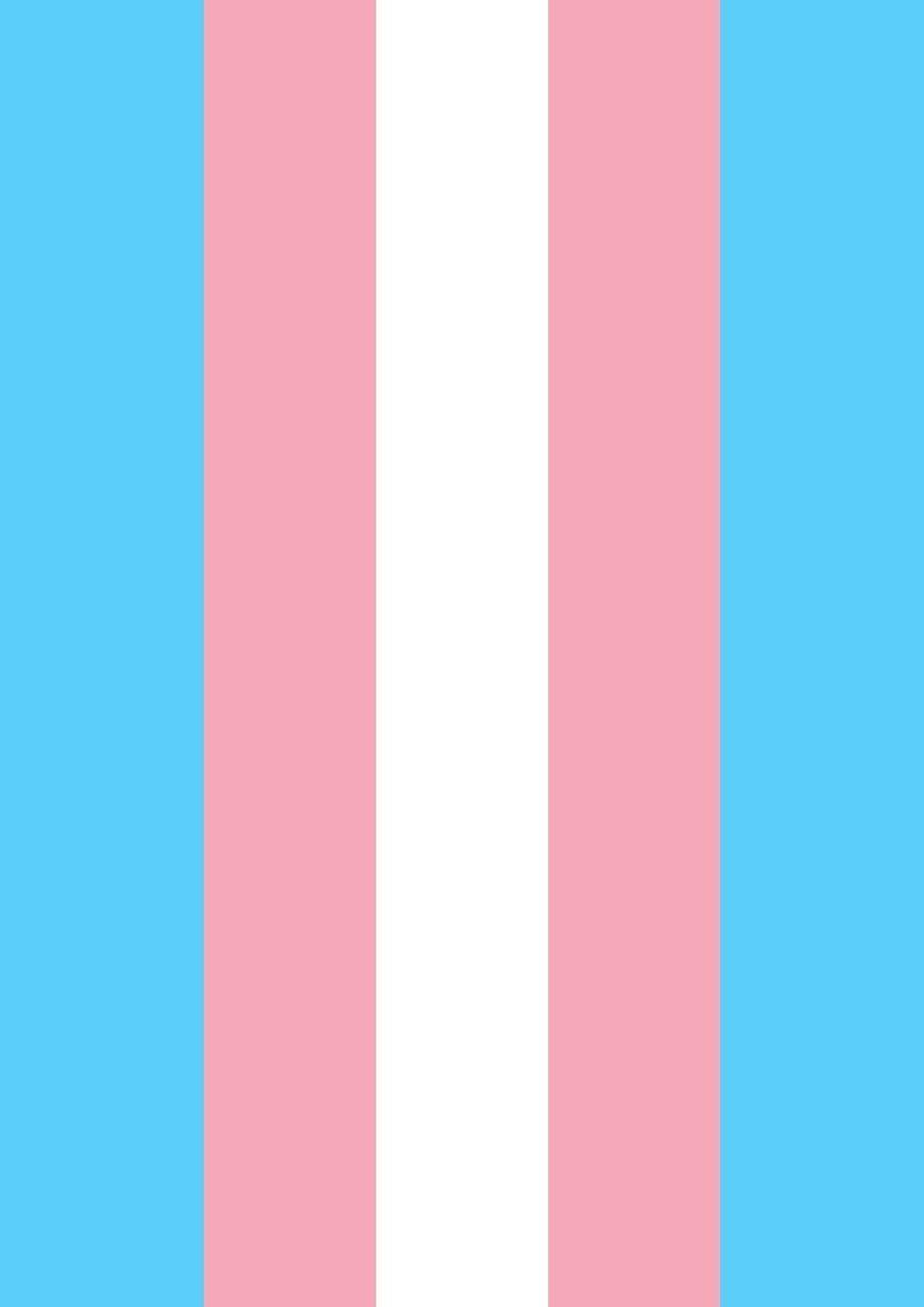 trans pride flag HD Wallpaper