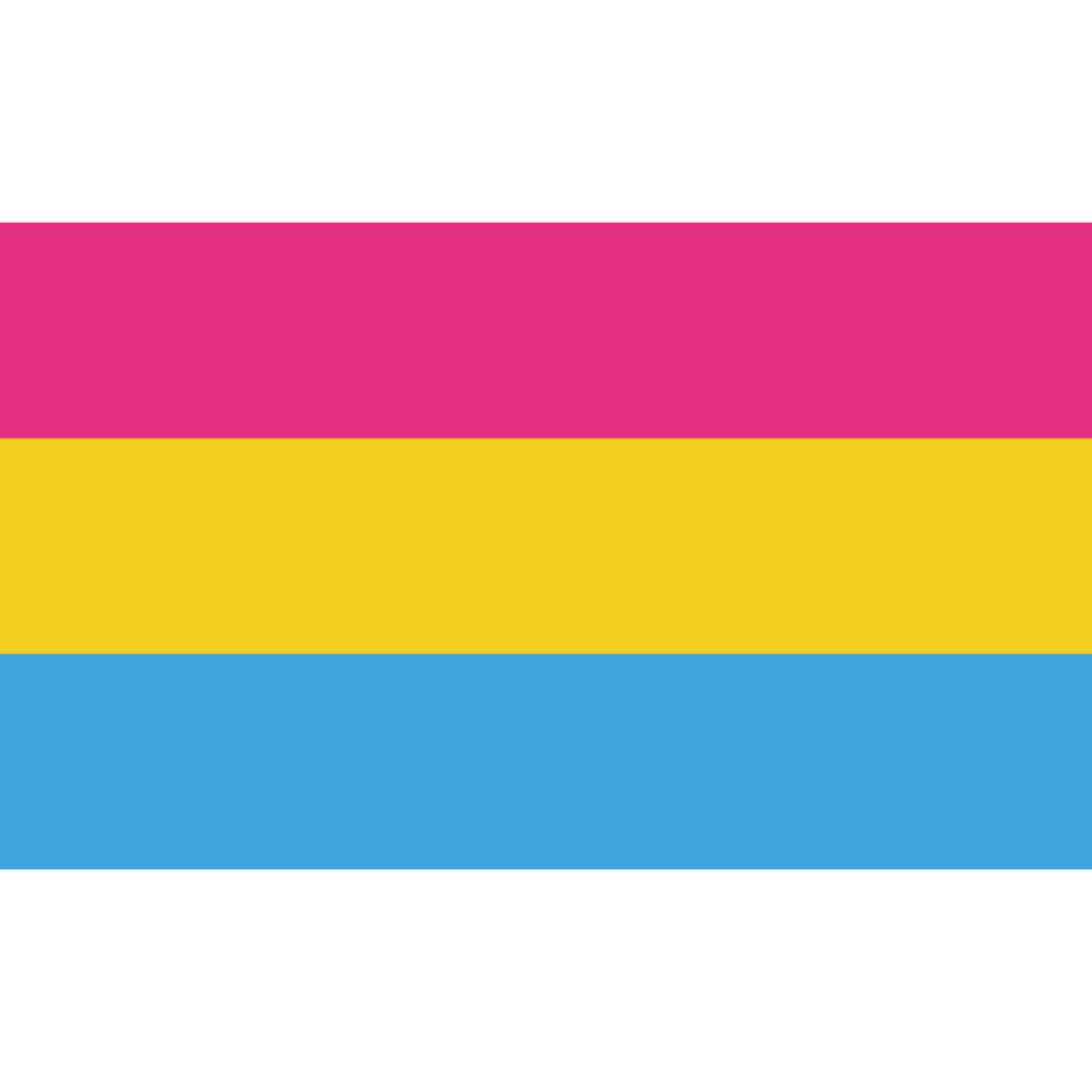 The pansexual pride flag emerged on the internet around 2010 and has become...