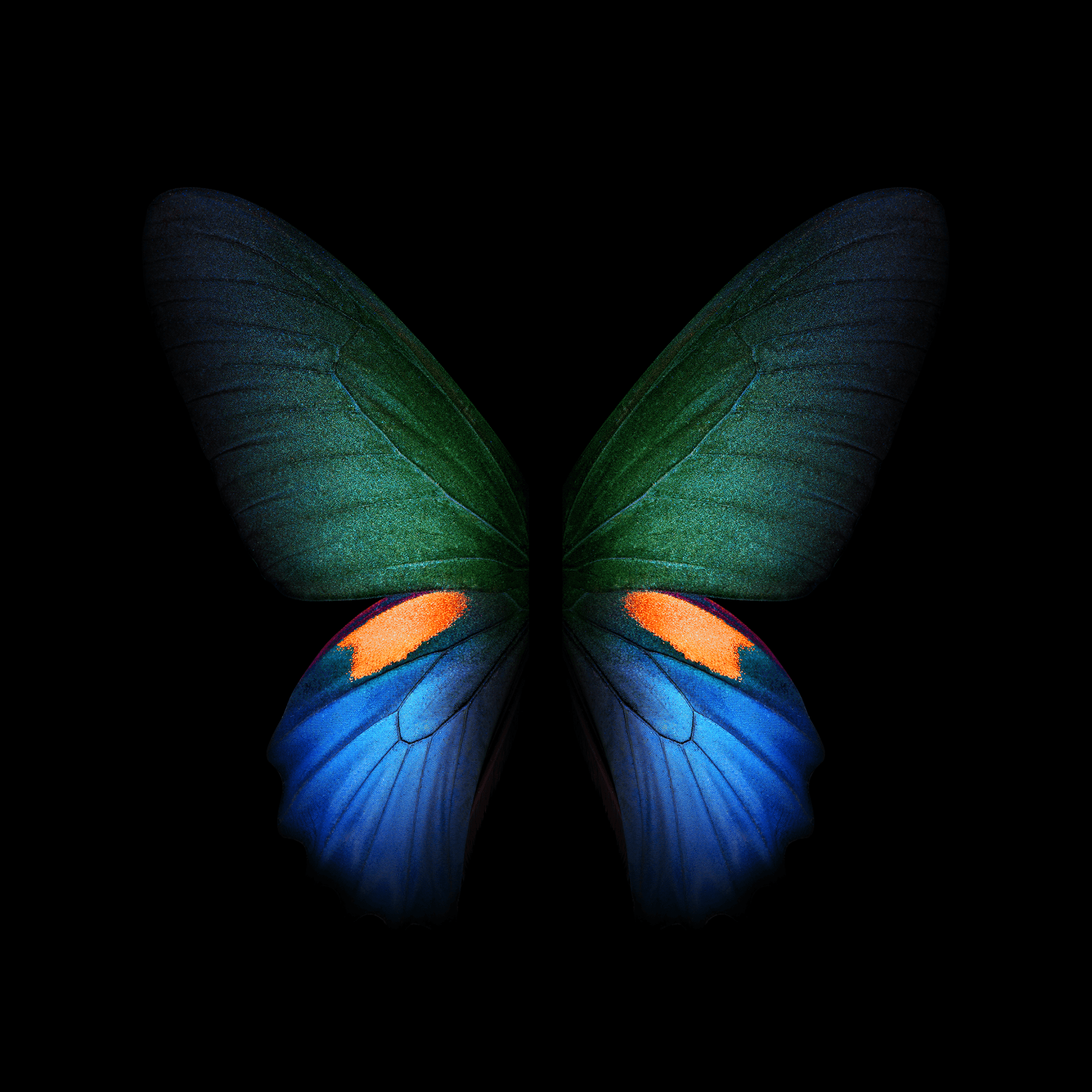 Download Samsung Galaxy Fold Wallpaper In High Quality!
