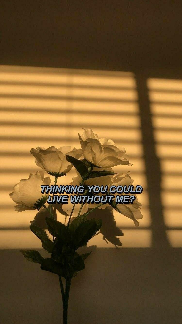 ♡ Without Me Halsey ♡. Bands Artists. Song Lyrics Wallpaper