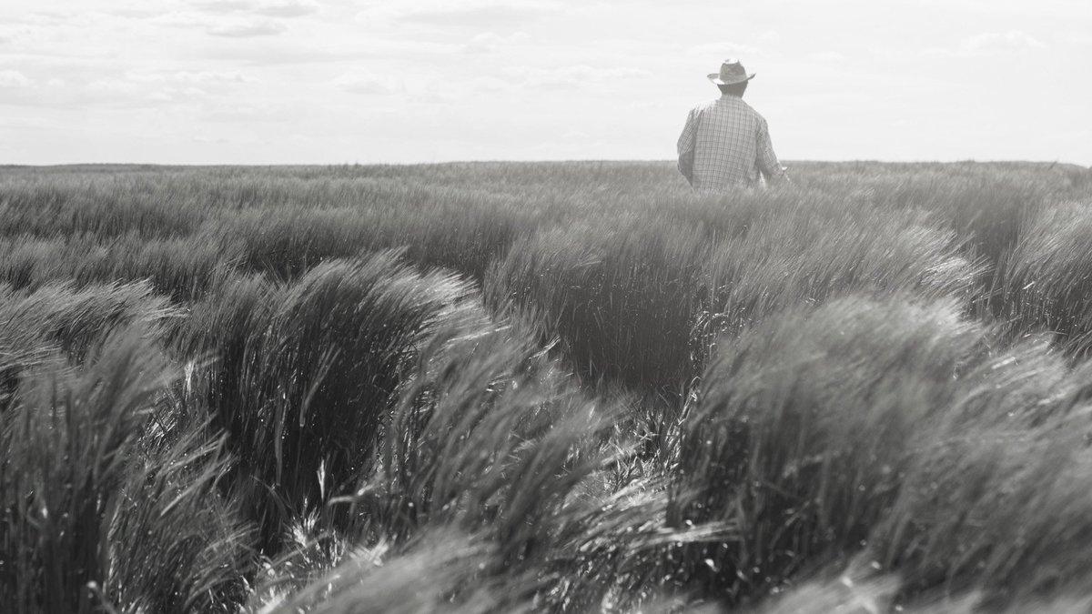 Blake Shelton don't care what my headstone reads Or