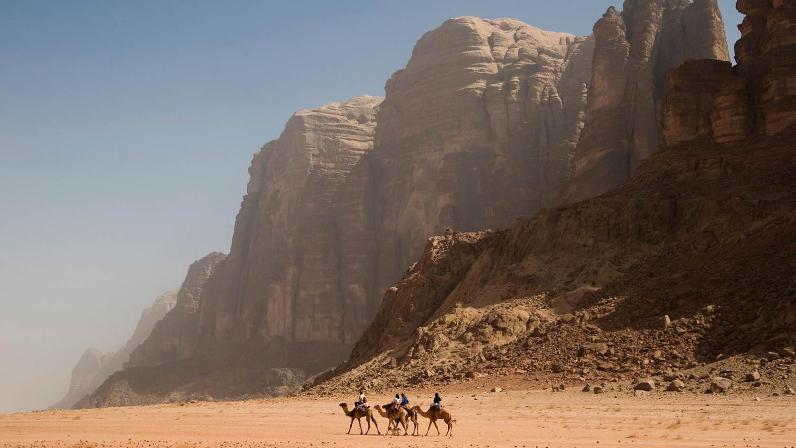 Camels in Wadi Rum Wallpaper