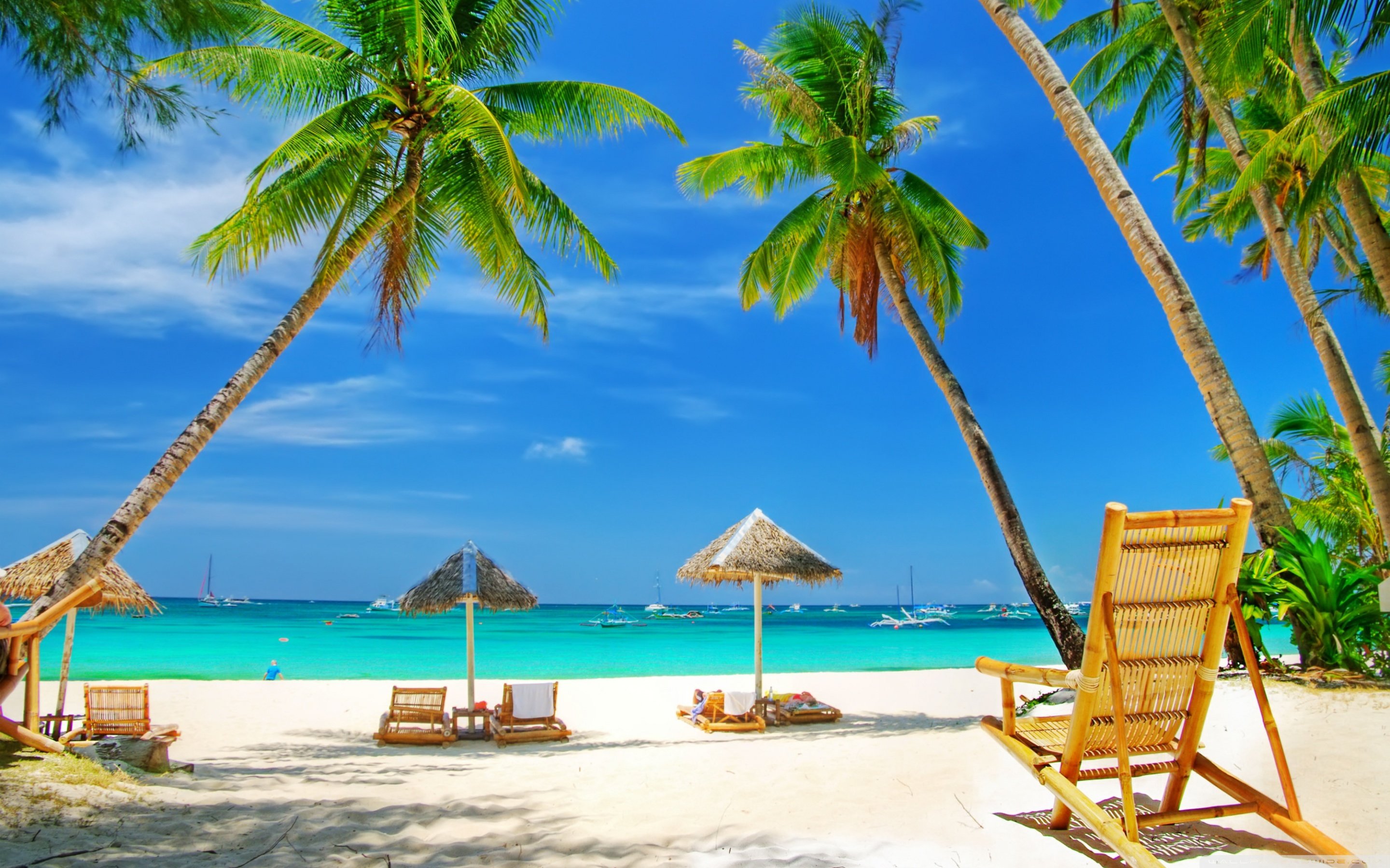 Tropical Paradise Beach ❤ 4K HD Desktop Wallpapers for 4K Ultra HD