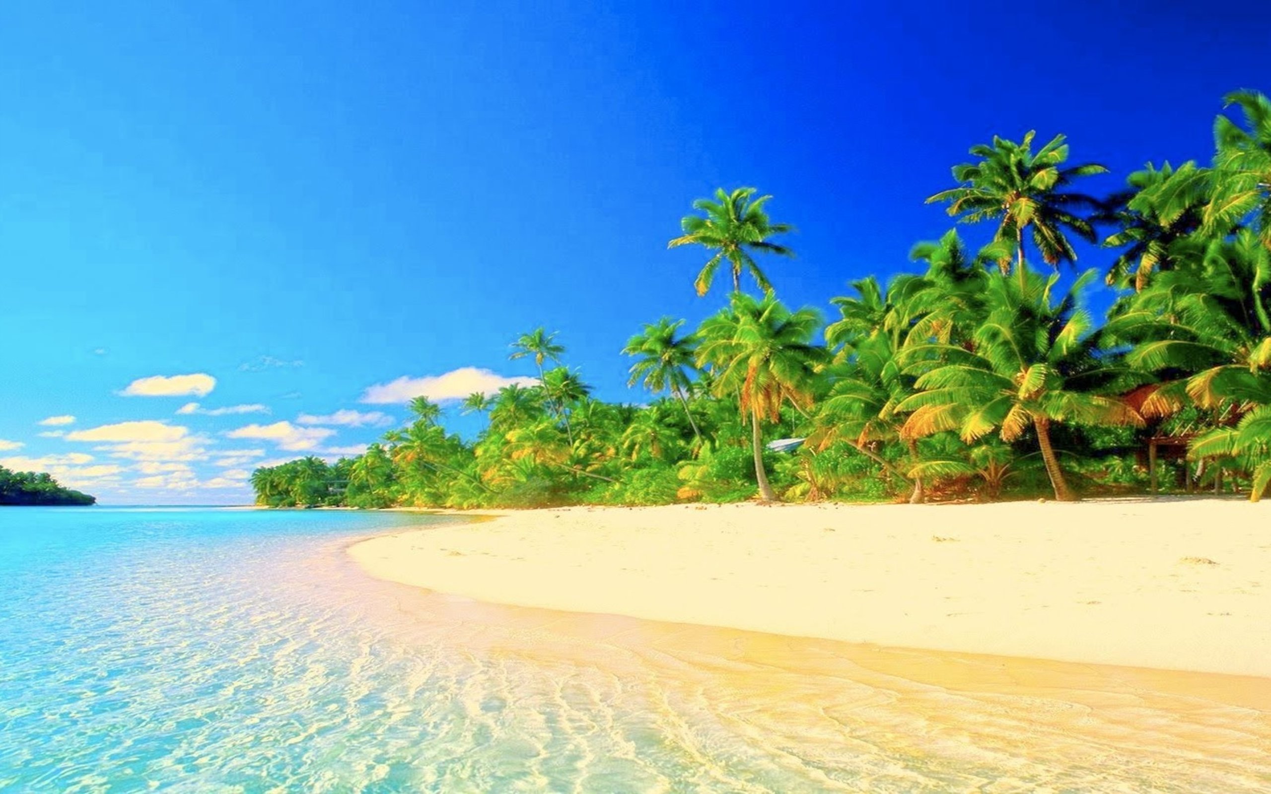 Download Tropical paradise HDwallpaperUP [2560x1600]. Tropical