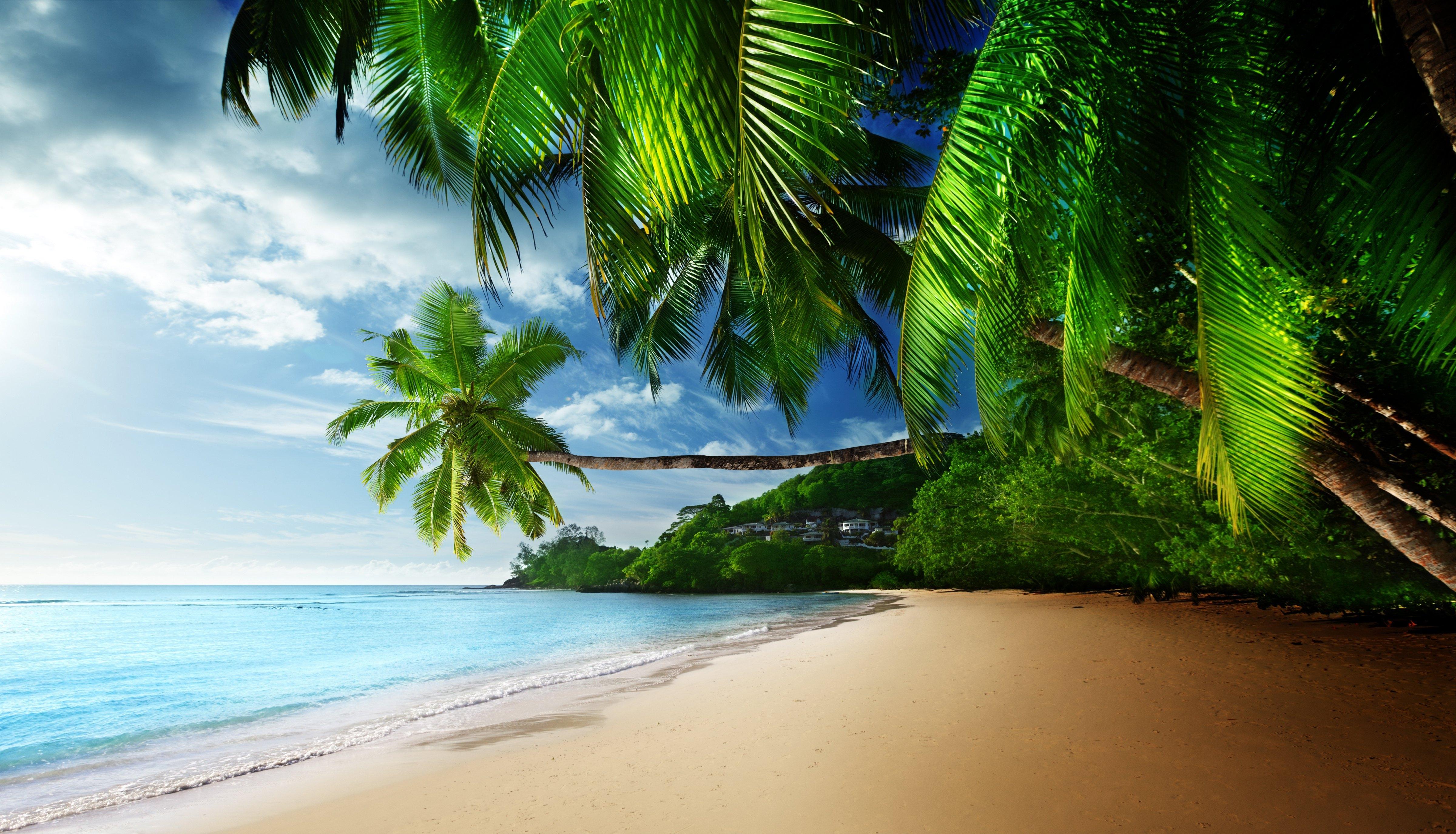 Download Tropical Paradise Coast Wallpaper HD Desktop and Mobile