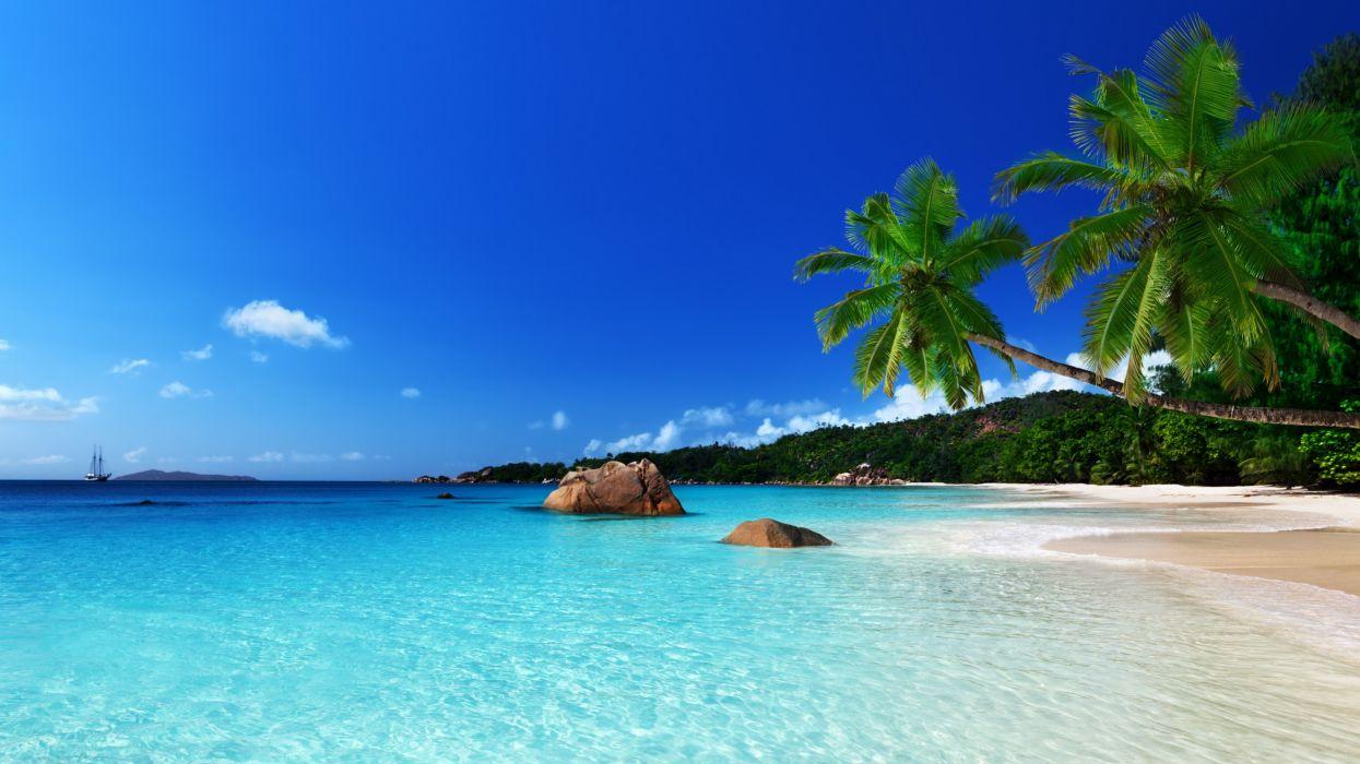 Tropical paradise beach ocean sea palm summer coast wallpaperx2900