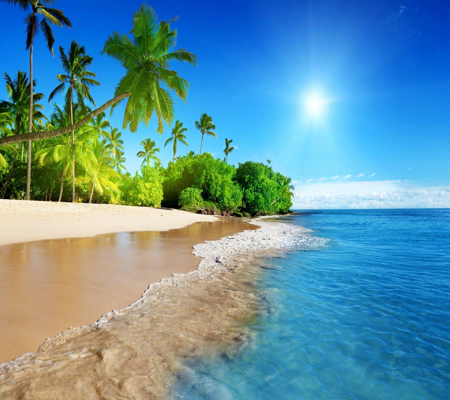Tropical Paradise Wallpapers - Wallpaper Cave