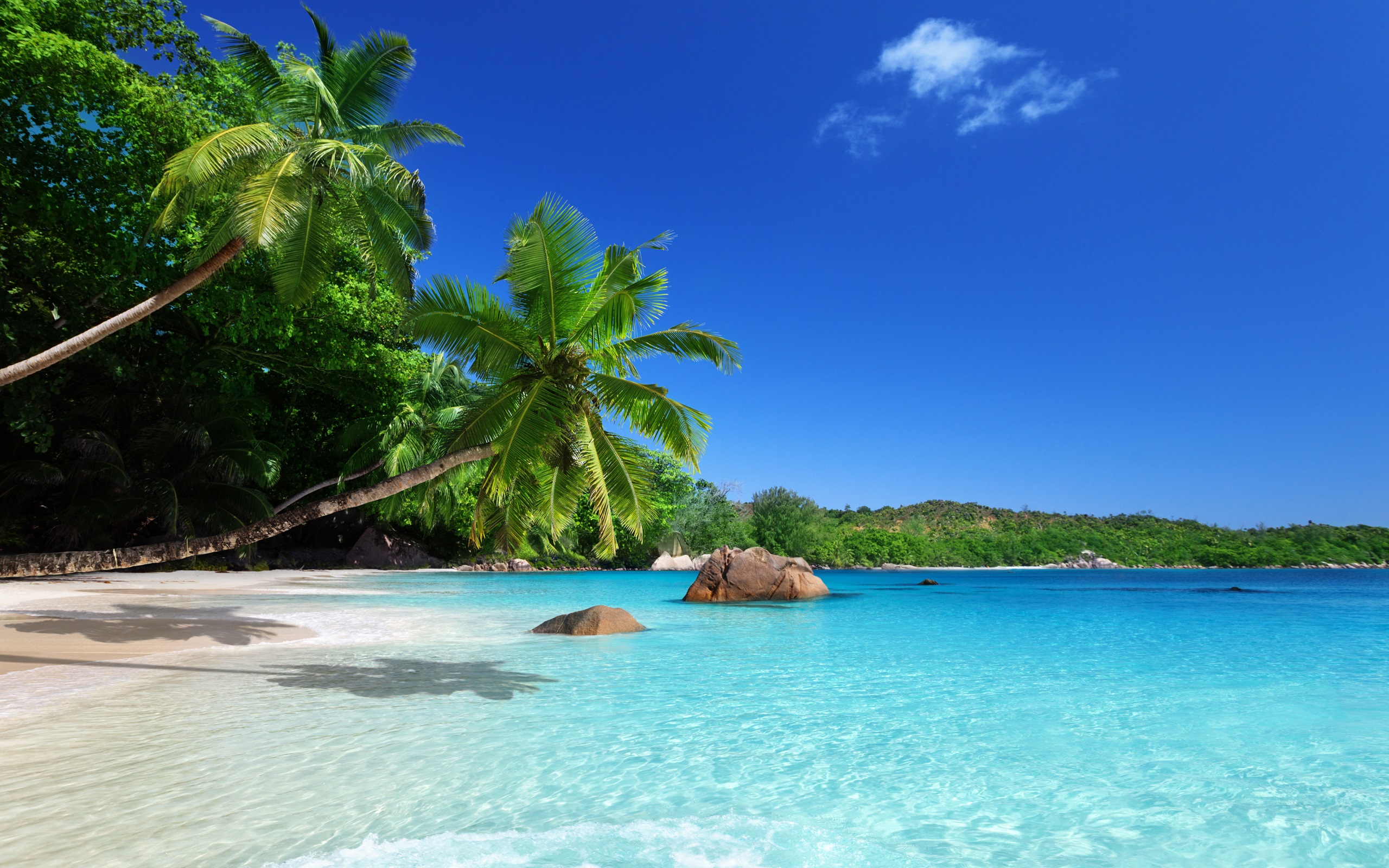 Wallpaper Tropical paradise, sunshine, beach, coast, sea, palm trees
