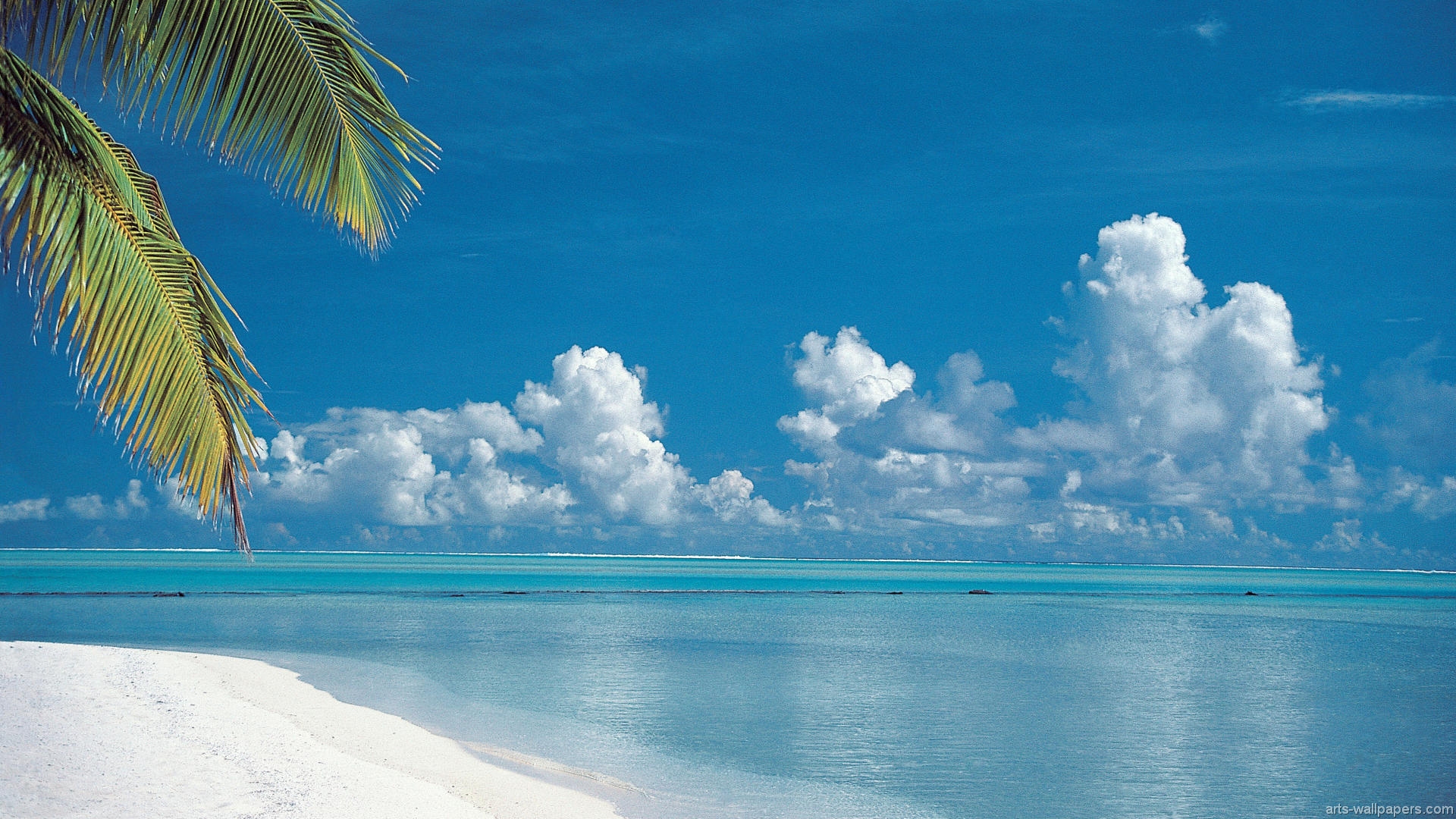 Download Tropical Paradise Wallpaper Hawaii Maldives Tahiti Islands