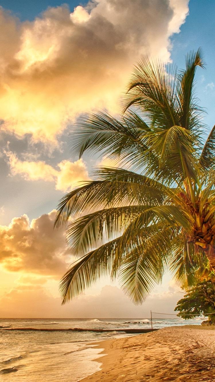 Tropical, paradise, beach, palms, sea, ocean, sunset 750x1334 iPhone