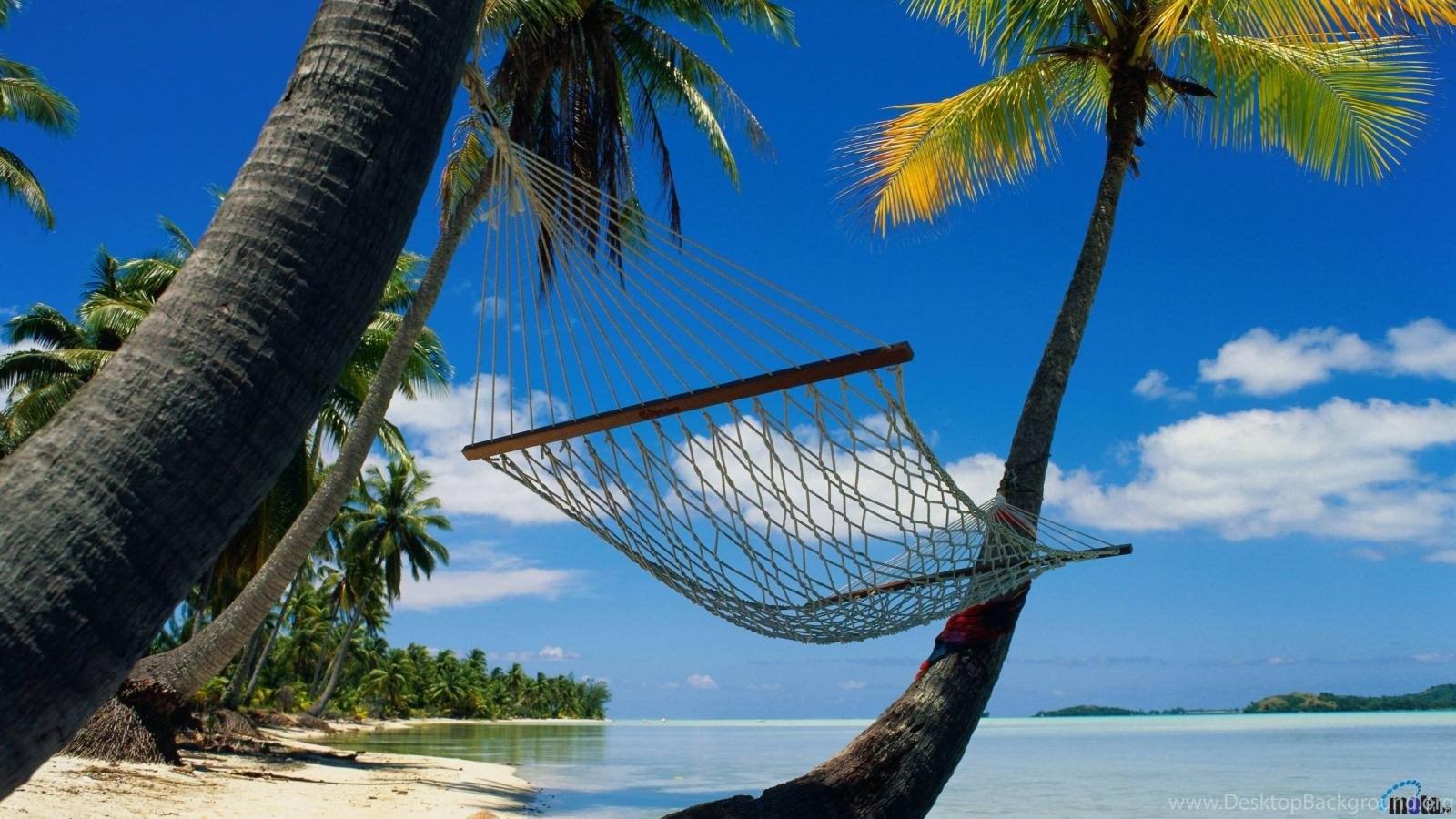 Download Wallpaper Hammock In A Tropical Paradise 1600 X 900