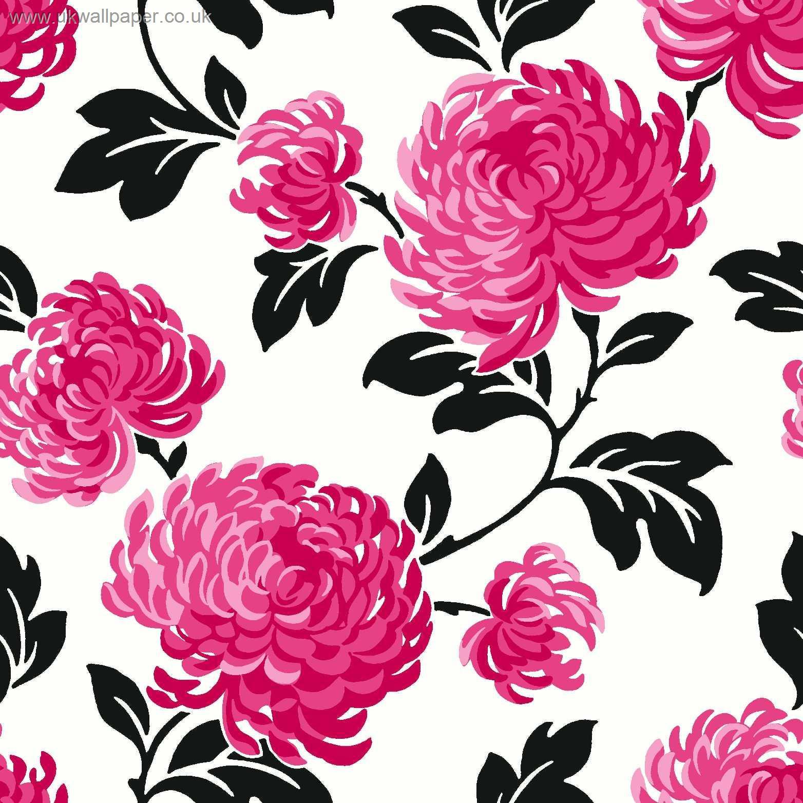 Download Pink And Black And White Background Image Picture Becuo
