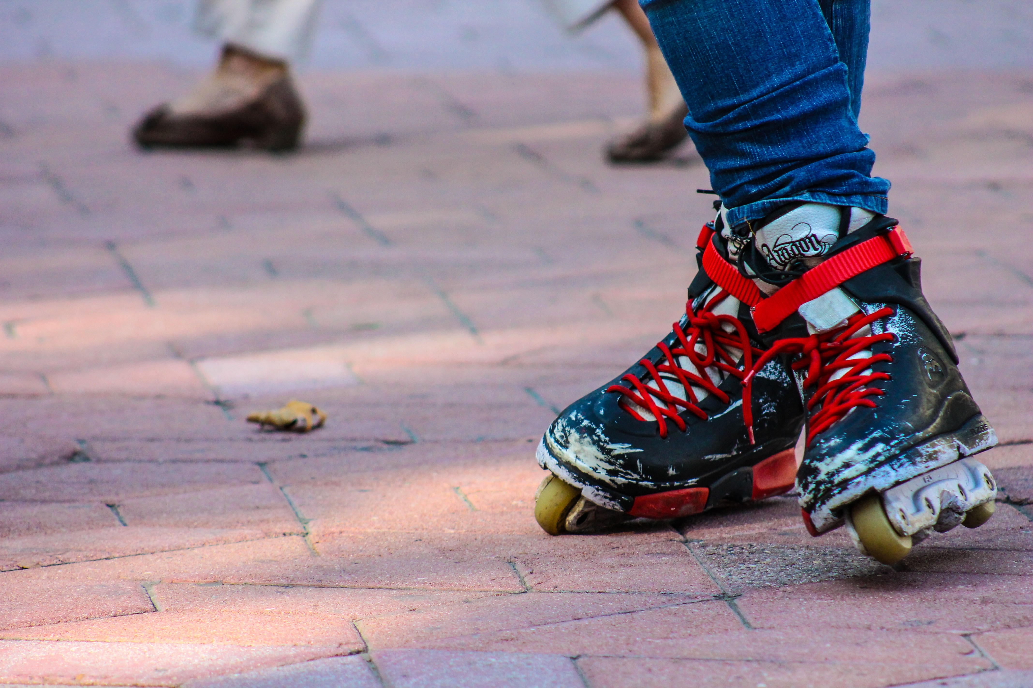 red and grey inline skates free image
