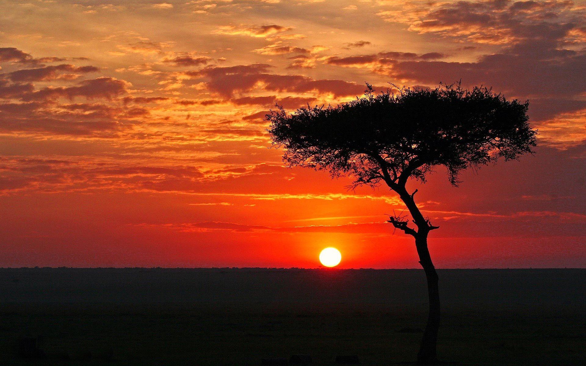 60+ African Landscape Sunset Wallpapers