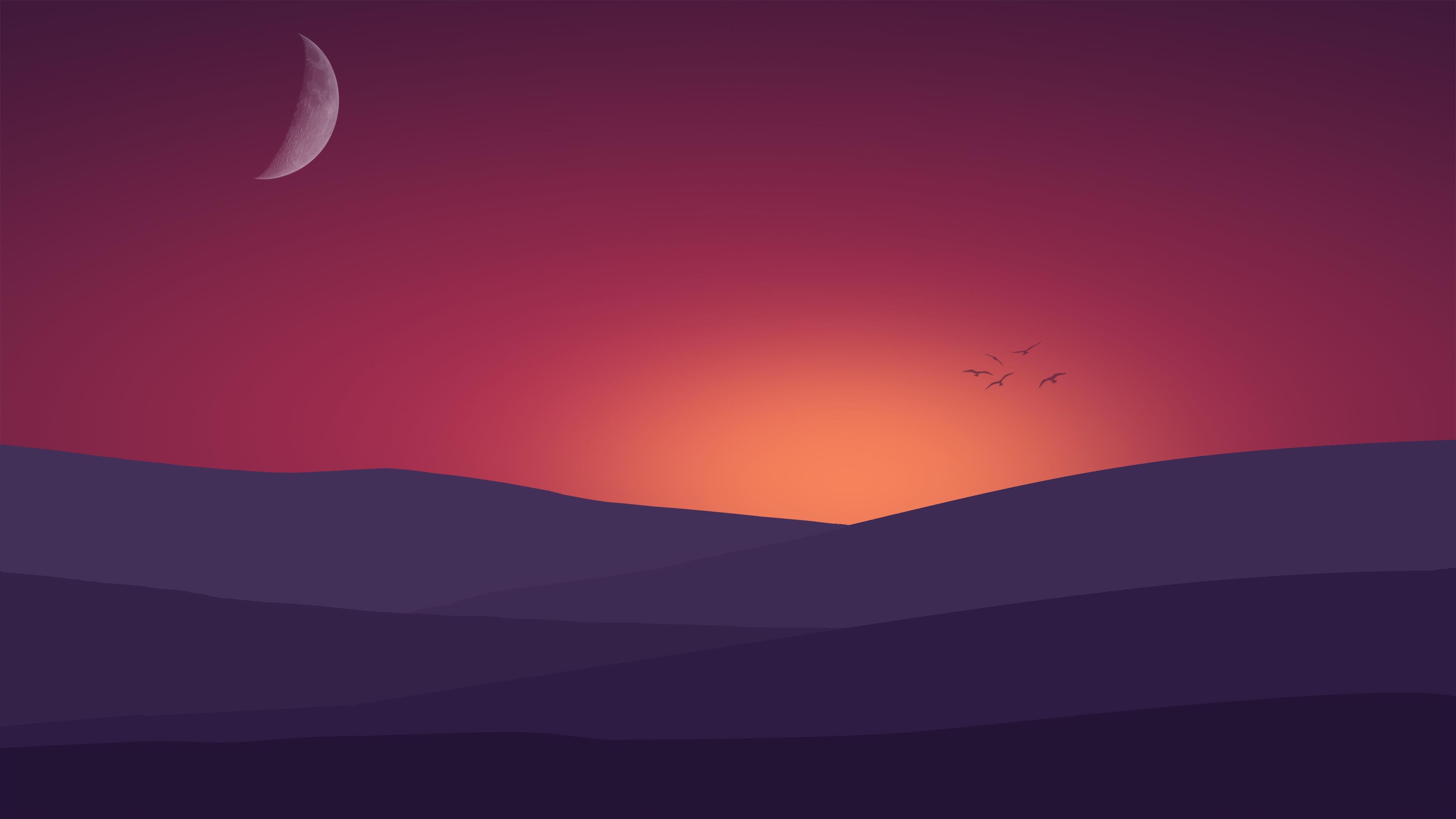 Birds Flying Towards Sunset Landscape Minimalist 4k, HD Artist, 4k