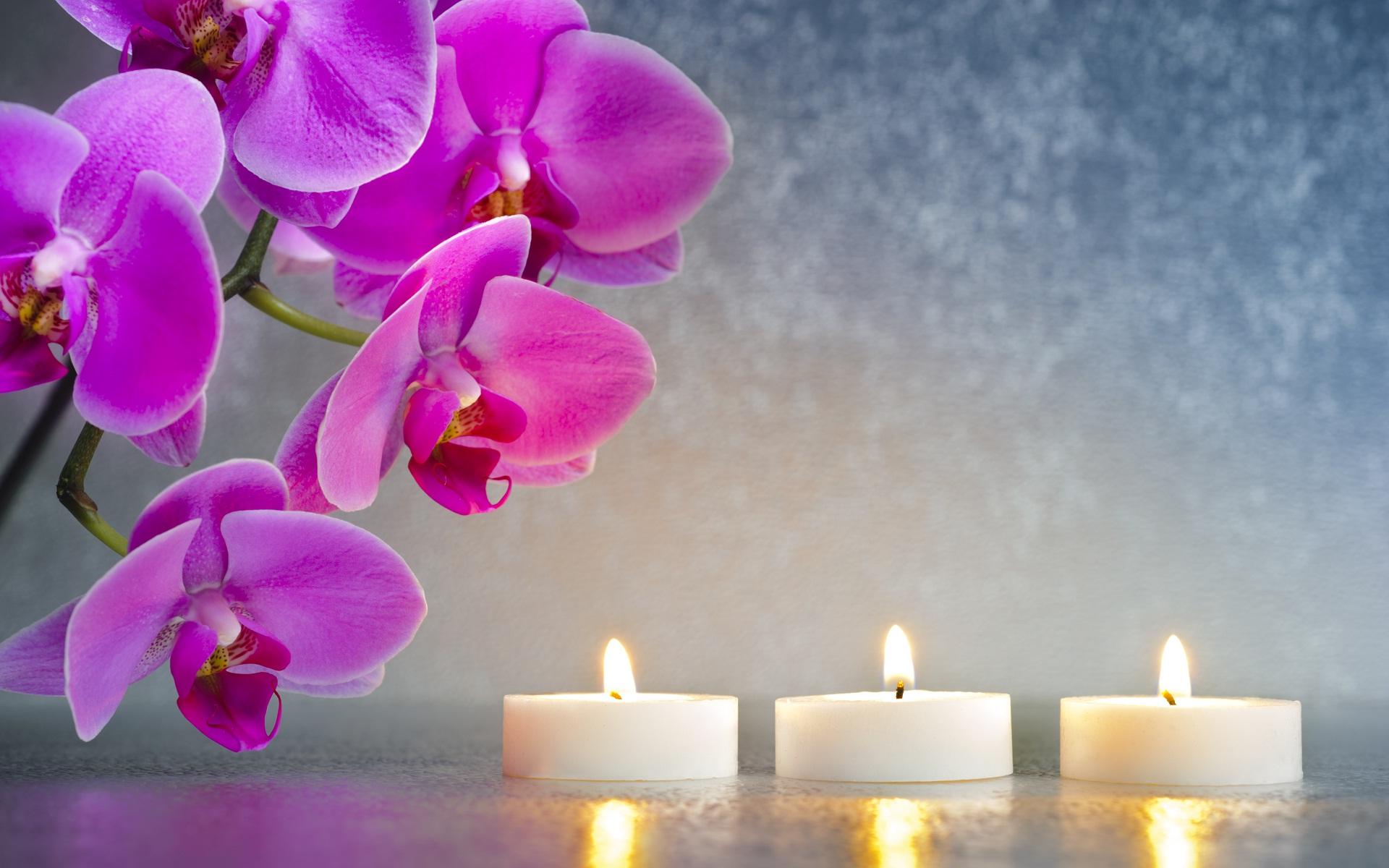 Candle light shine and purple flowers Ritual Wallpaper1920 × 1200