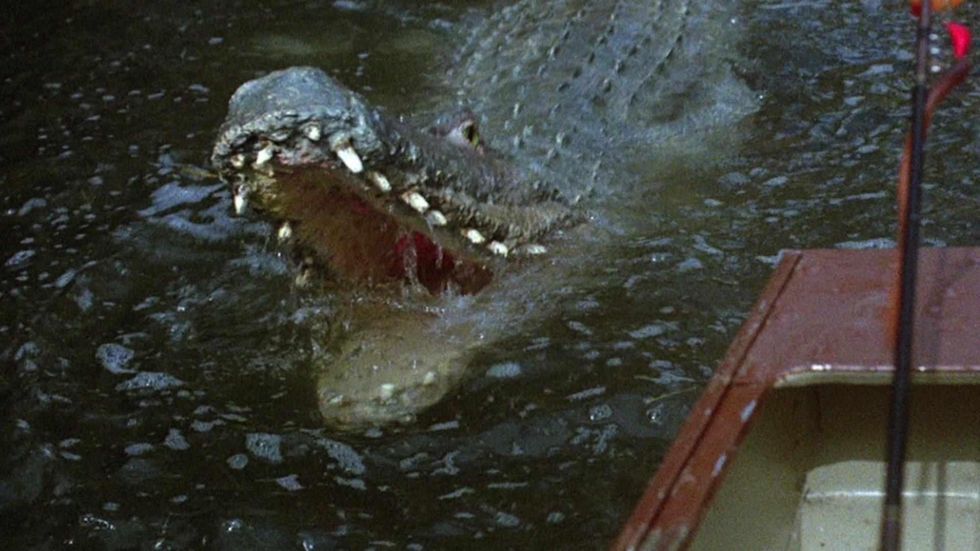 Crazy Ass Footage From Sam Raimi's Alligator Horror Movie CRAWL