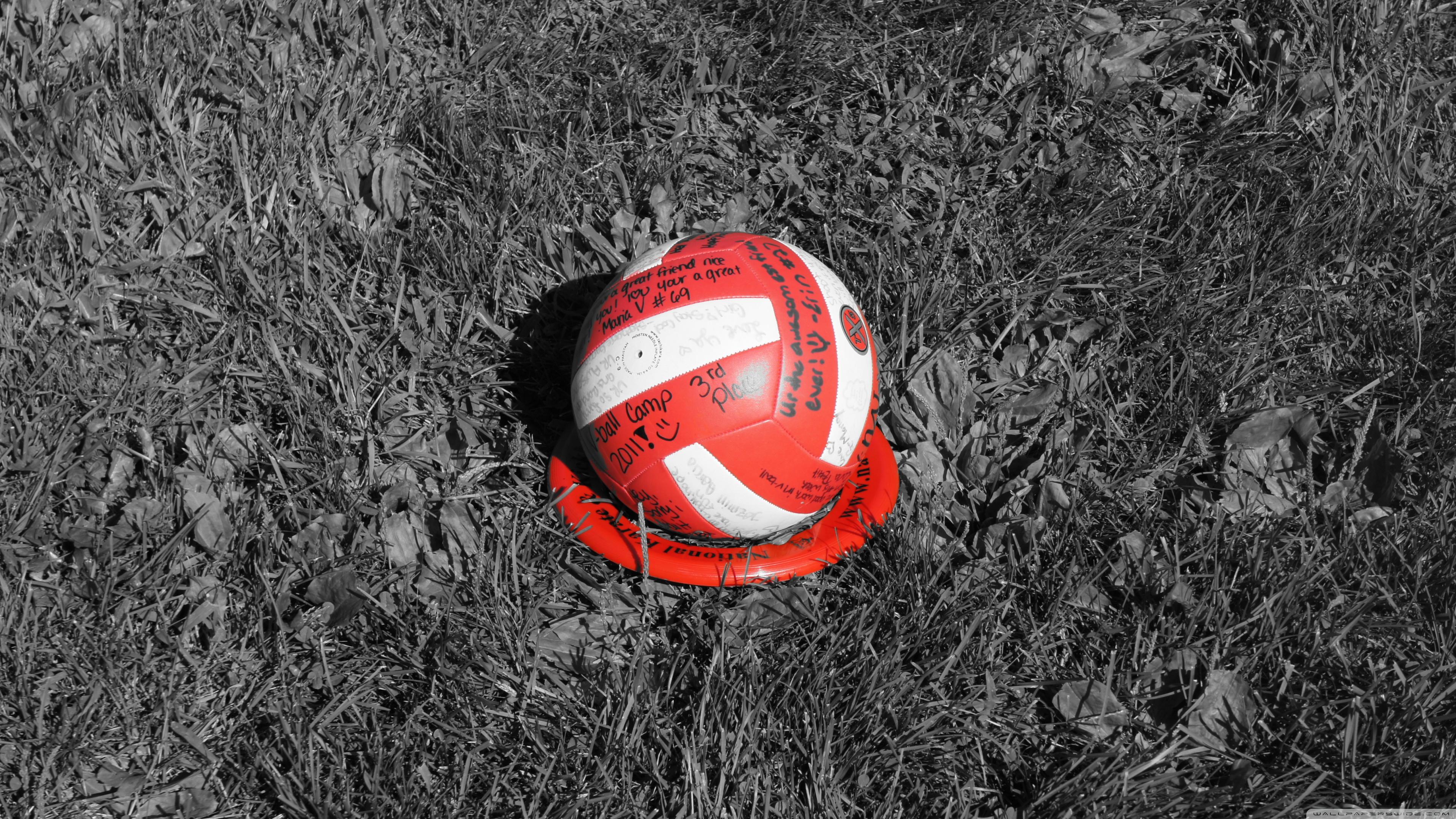 Volleyball ❤ 4K HD Desktop Wallpaper for 4K Ultra HD TV • Dual