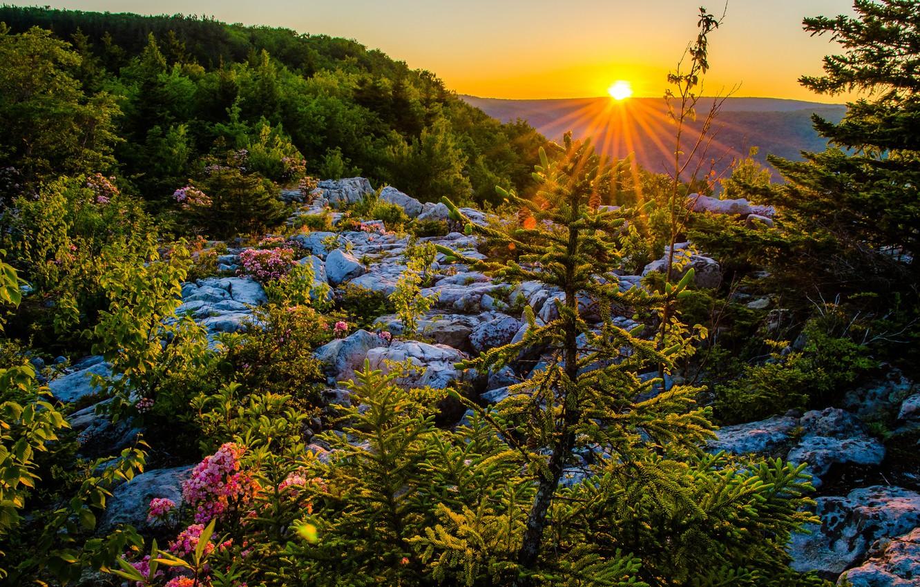 Wallpaper sunset, plateau, West Virginia, West Virginia, Allegheny