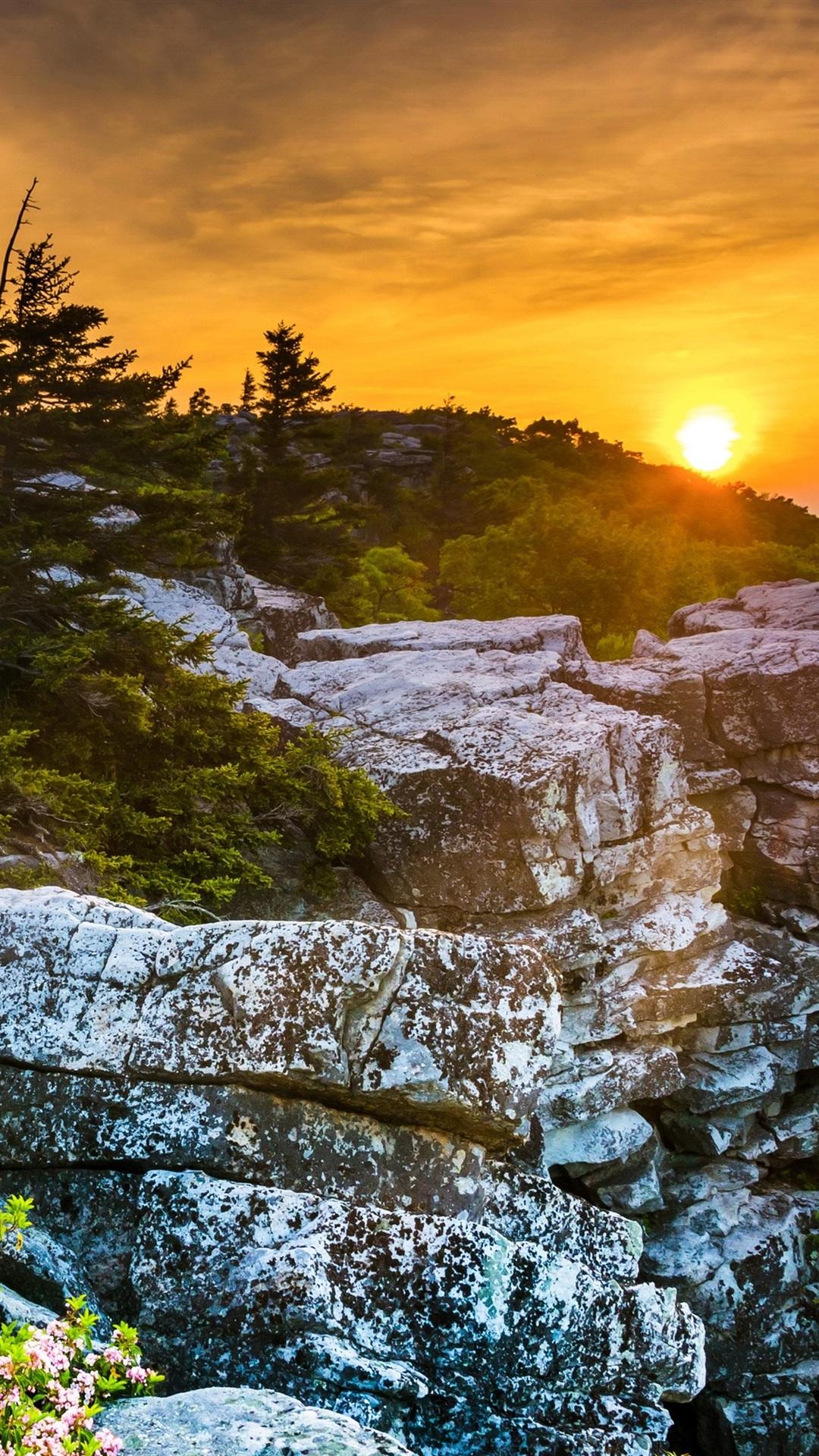 USA, West Virginia, beautiful sunset, rocks, trees, red sky