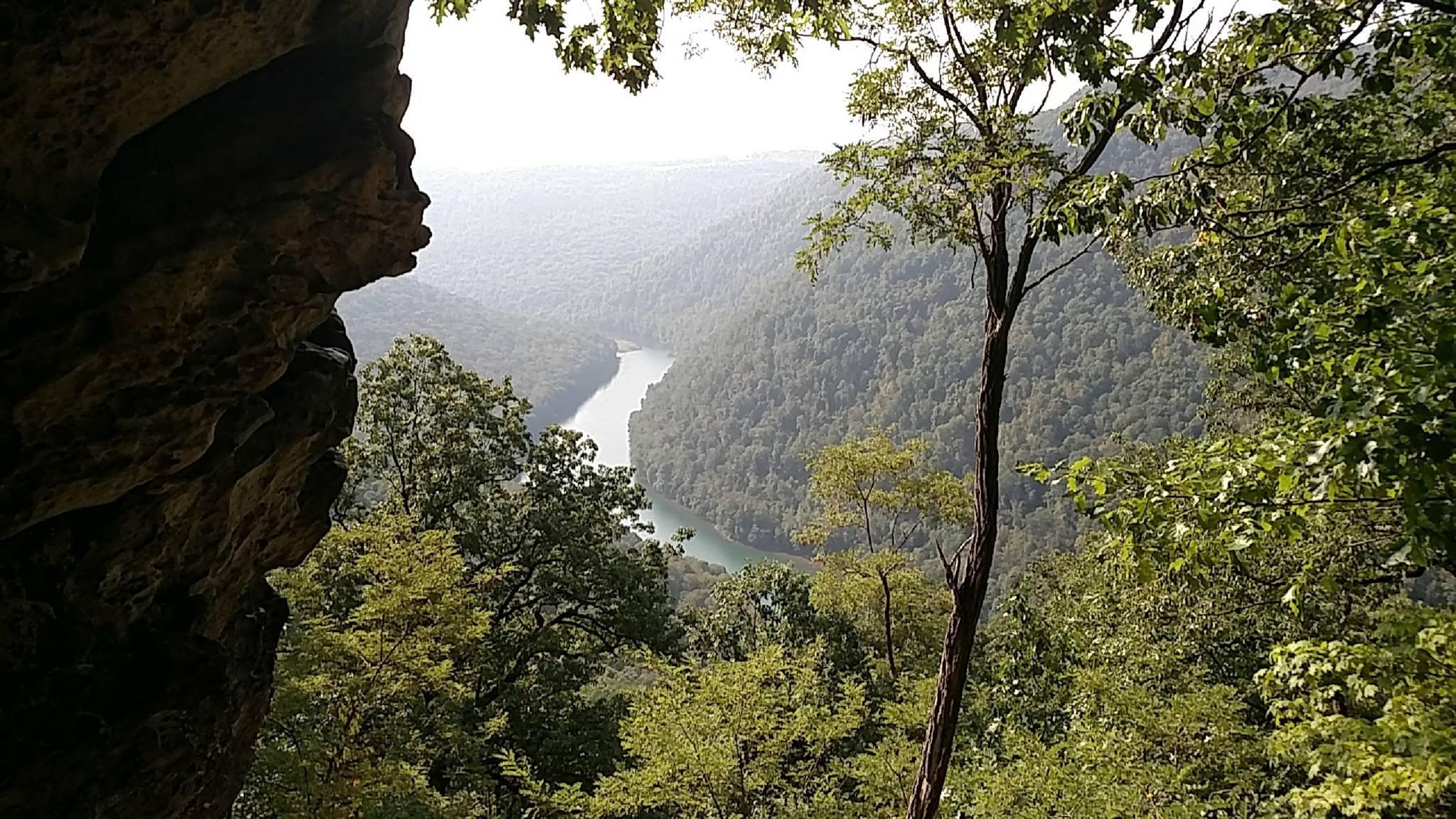 Coopers Rock State Forest West Virginia HD wallpaper