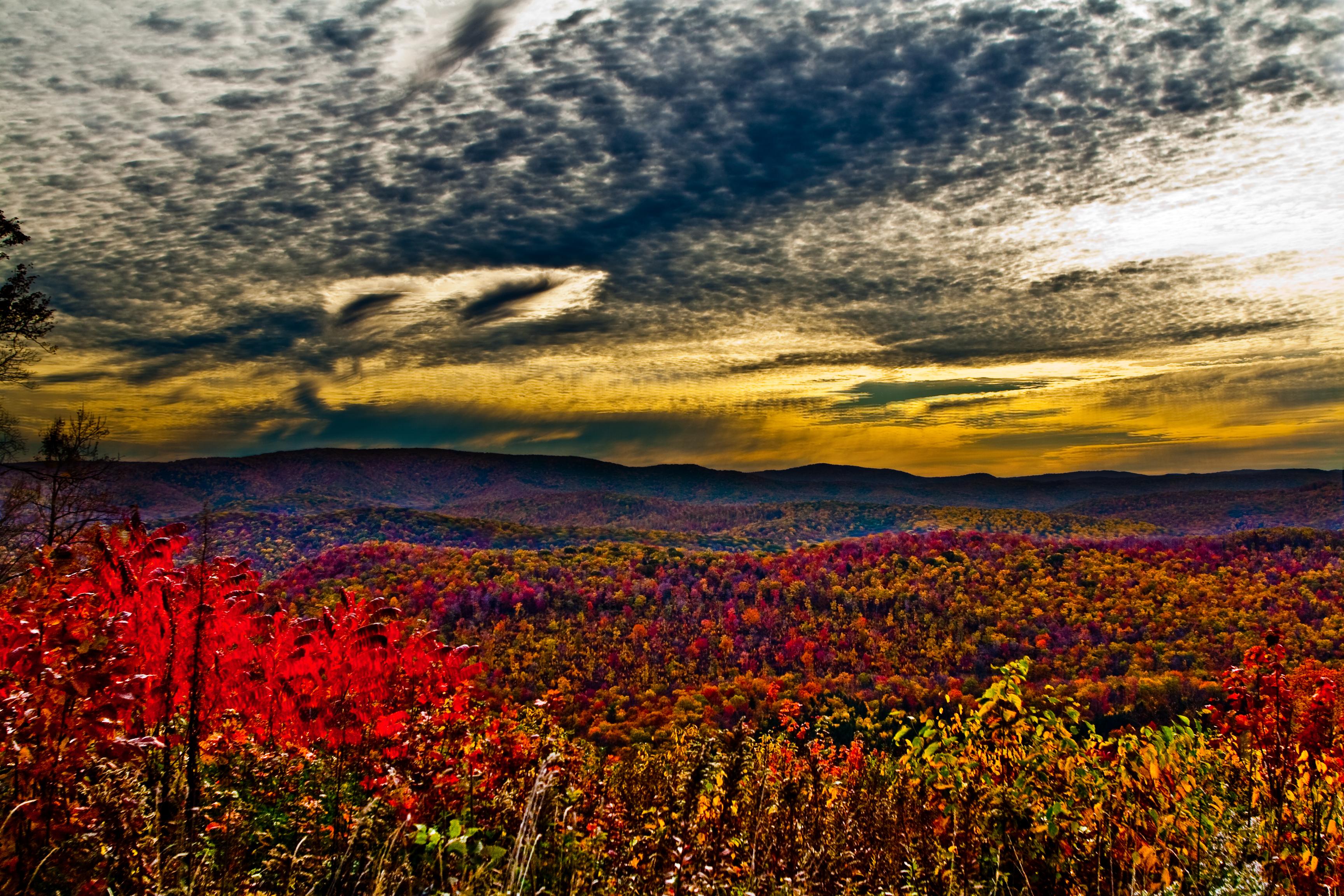 Scenic sunrise and autumn foliage, west Virginia