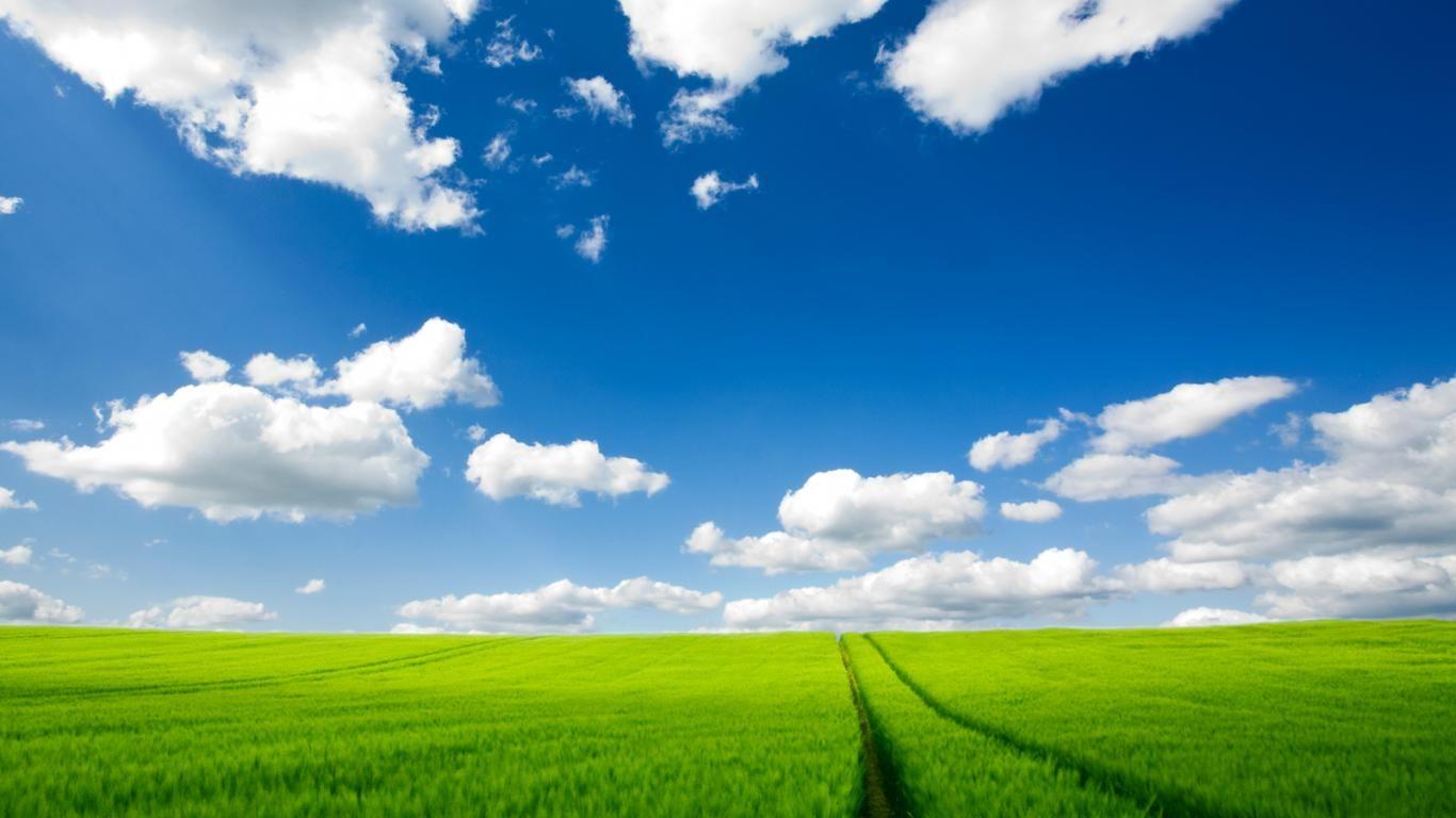 Grass Sky Background Download Free  Banner Background Image on Lovepik   401739559