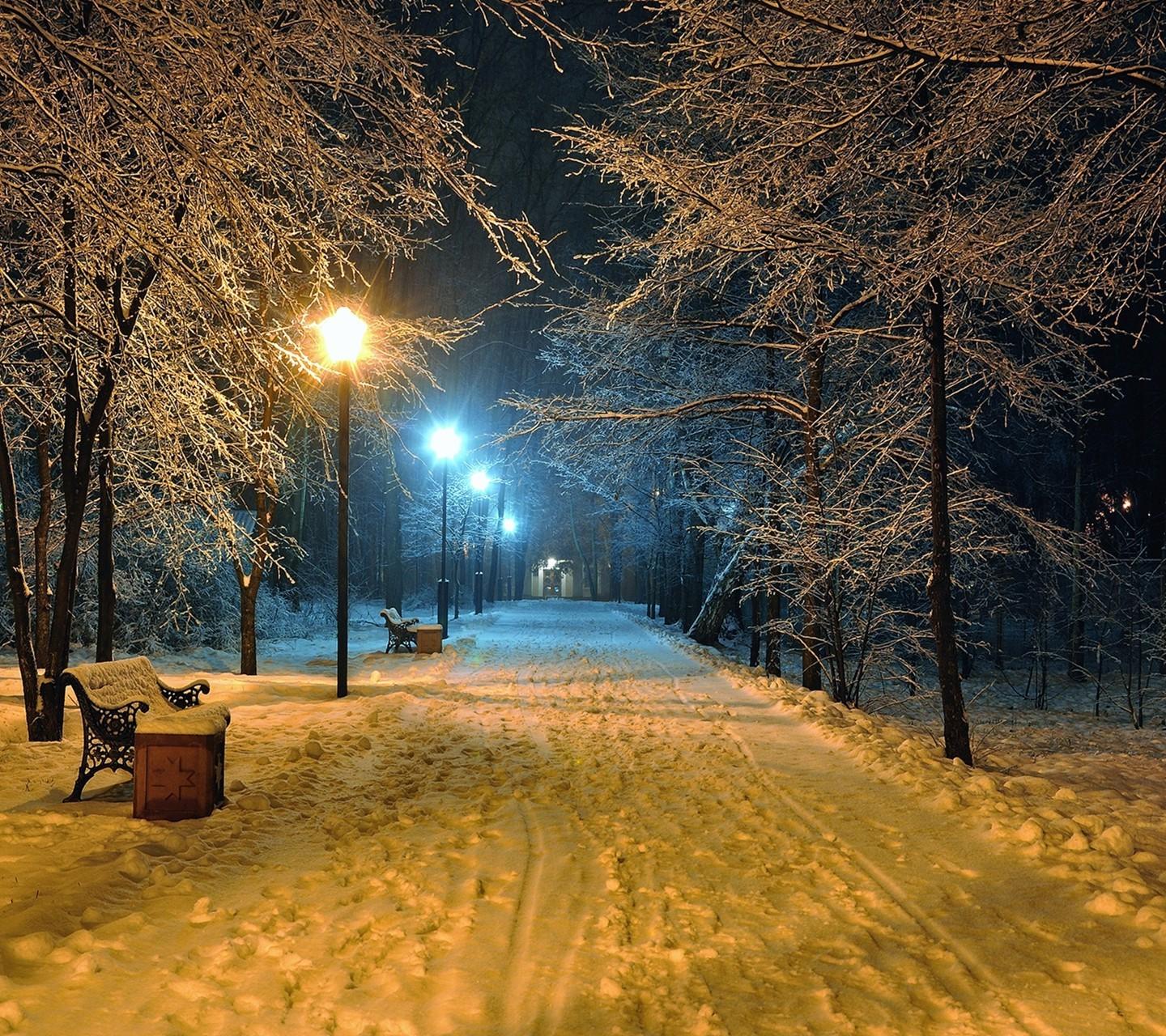 winter, Snow, Night, Street light, Path, Trees, Bench Wallpaper HD
