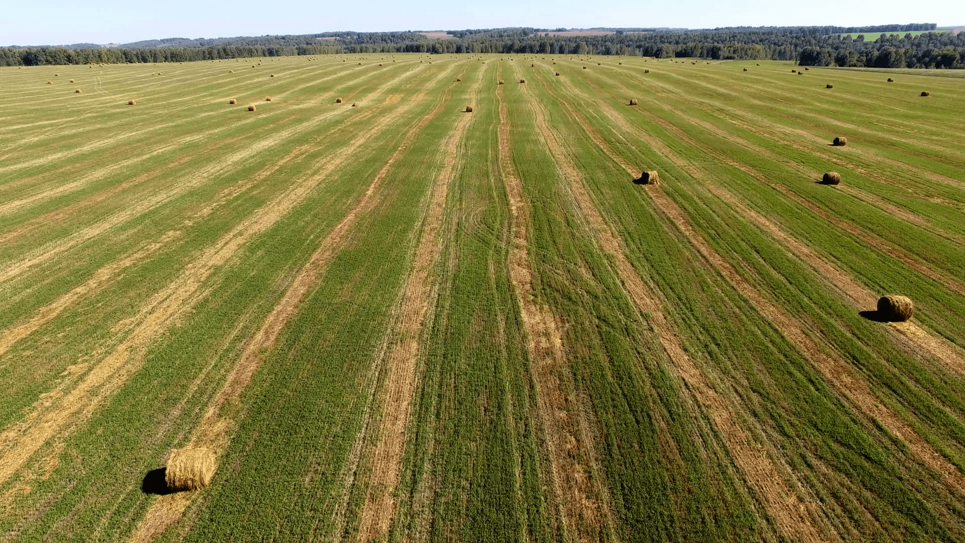 bales of straw at late afternoon. summer landscape- aerial view