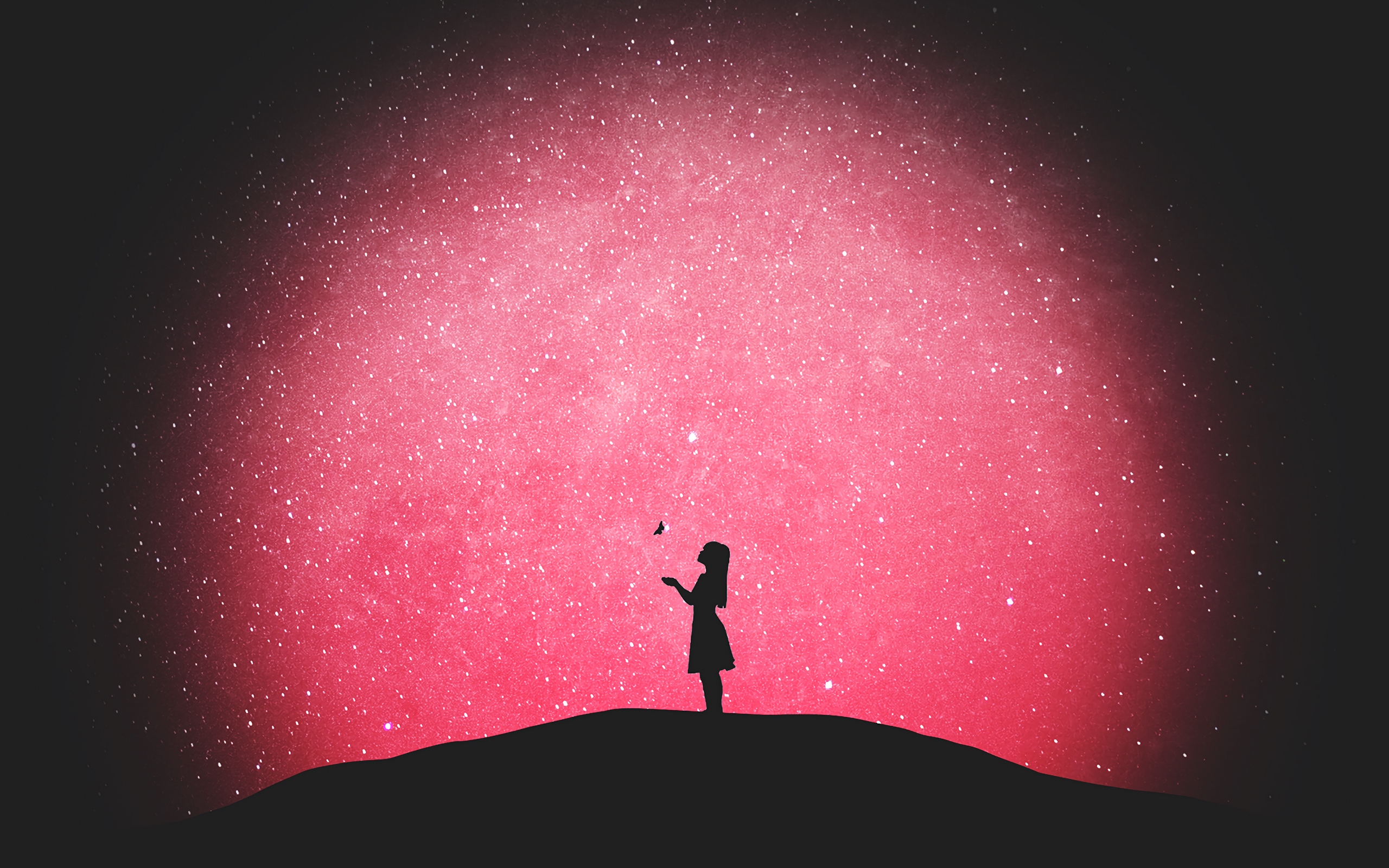 Download wallpaper 2560x1600 silhouette, butterfly, girl, starry sky