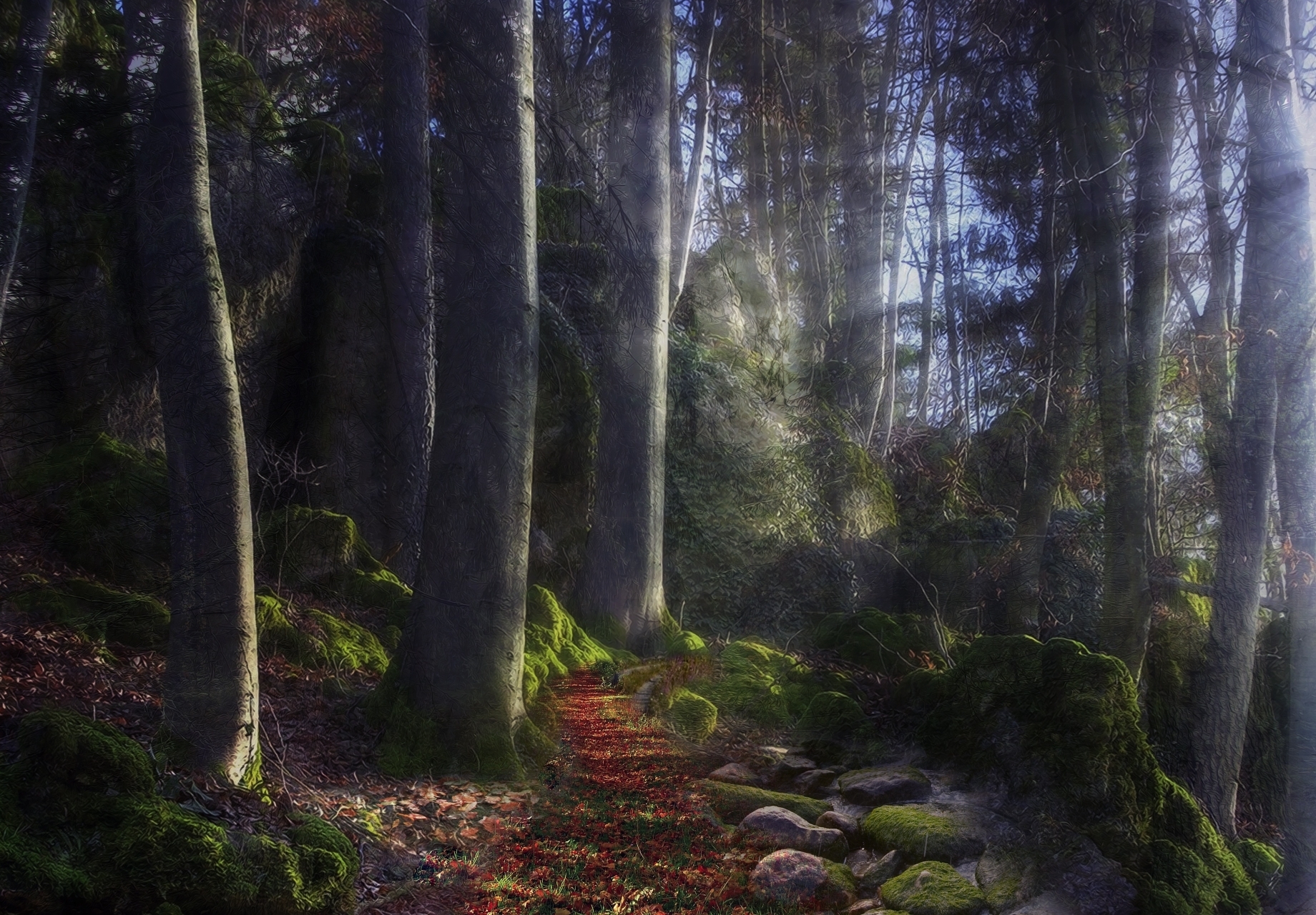 Footpath Wood Beams Sun Light Stones Path Mysterious Moss