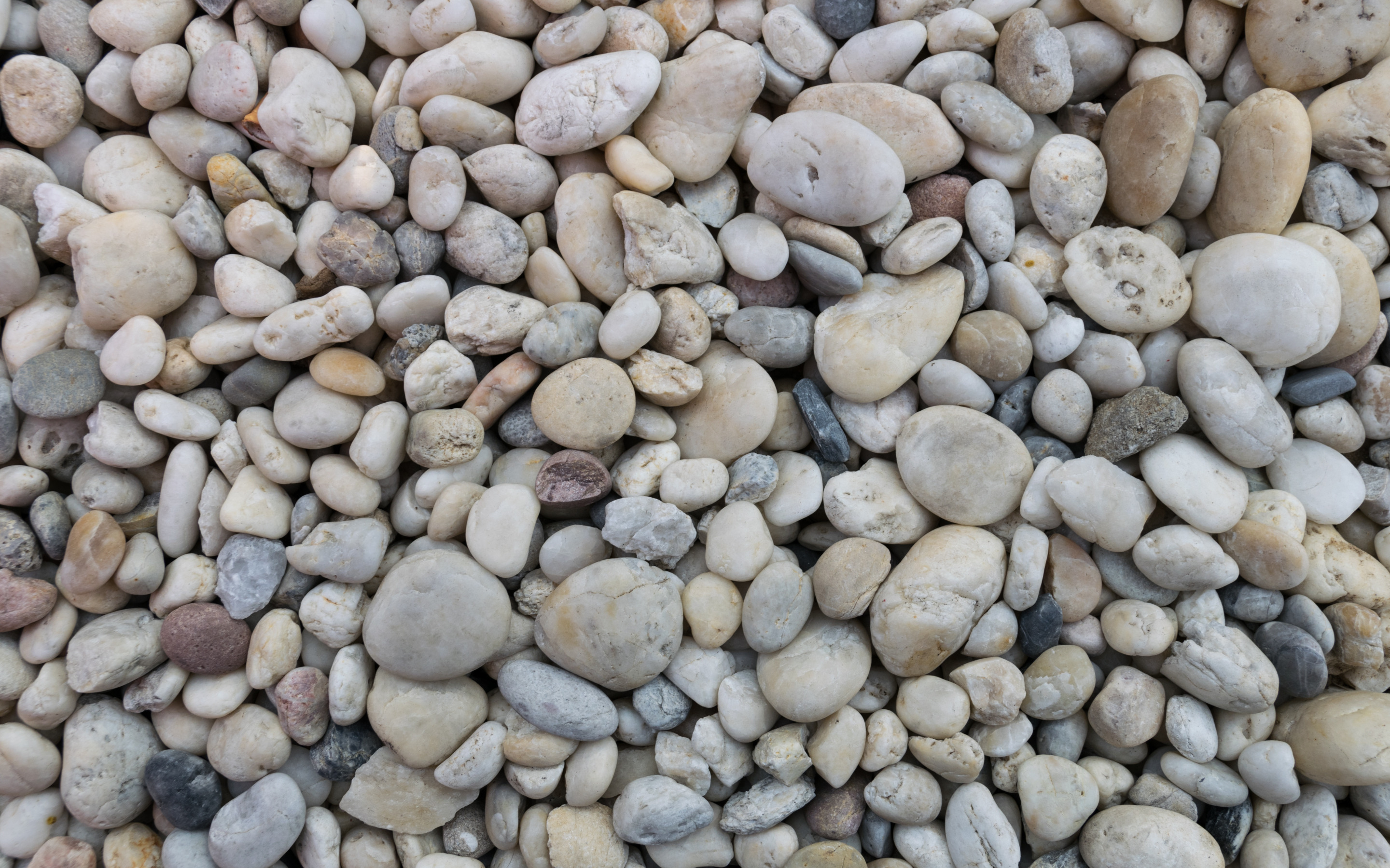 Download wallpaper sea pebbles, white pebbles, large stones, coast