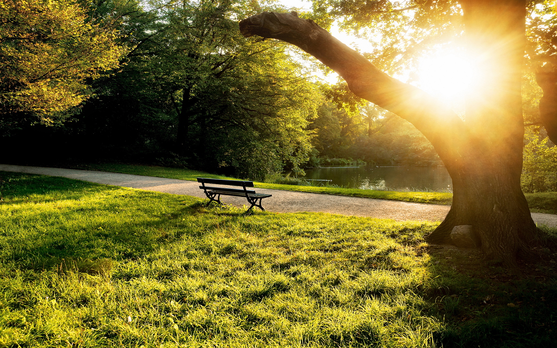 City Park Bench HD Wallpaper, Background Image
