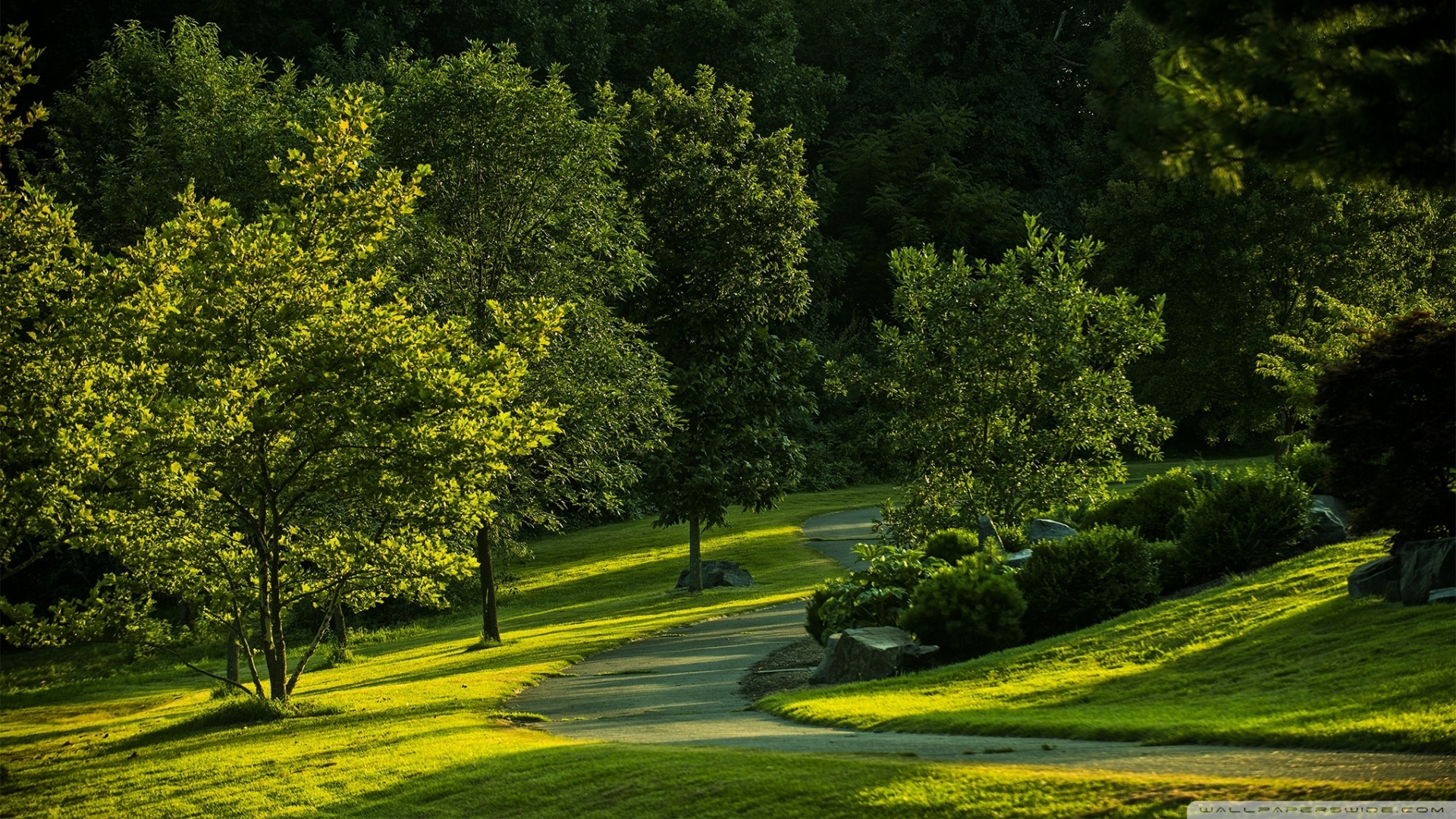 Park, Summer ❤ 4K HD Desktop Wallpaper for 4K Ultra HD TV • Wide