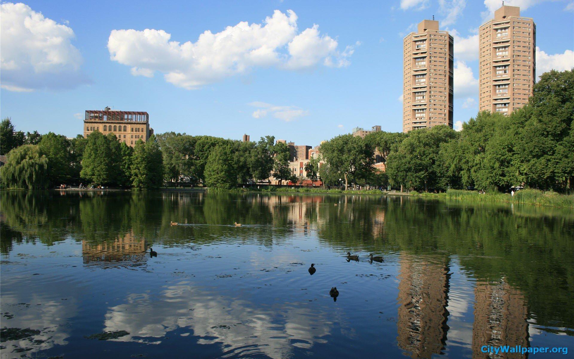 Summer Park, Background On The Desktop