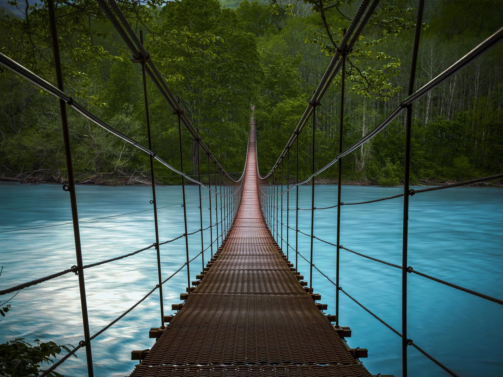 Forest River Bridge 1600x1200 Resolution HD 4k Wallpaper