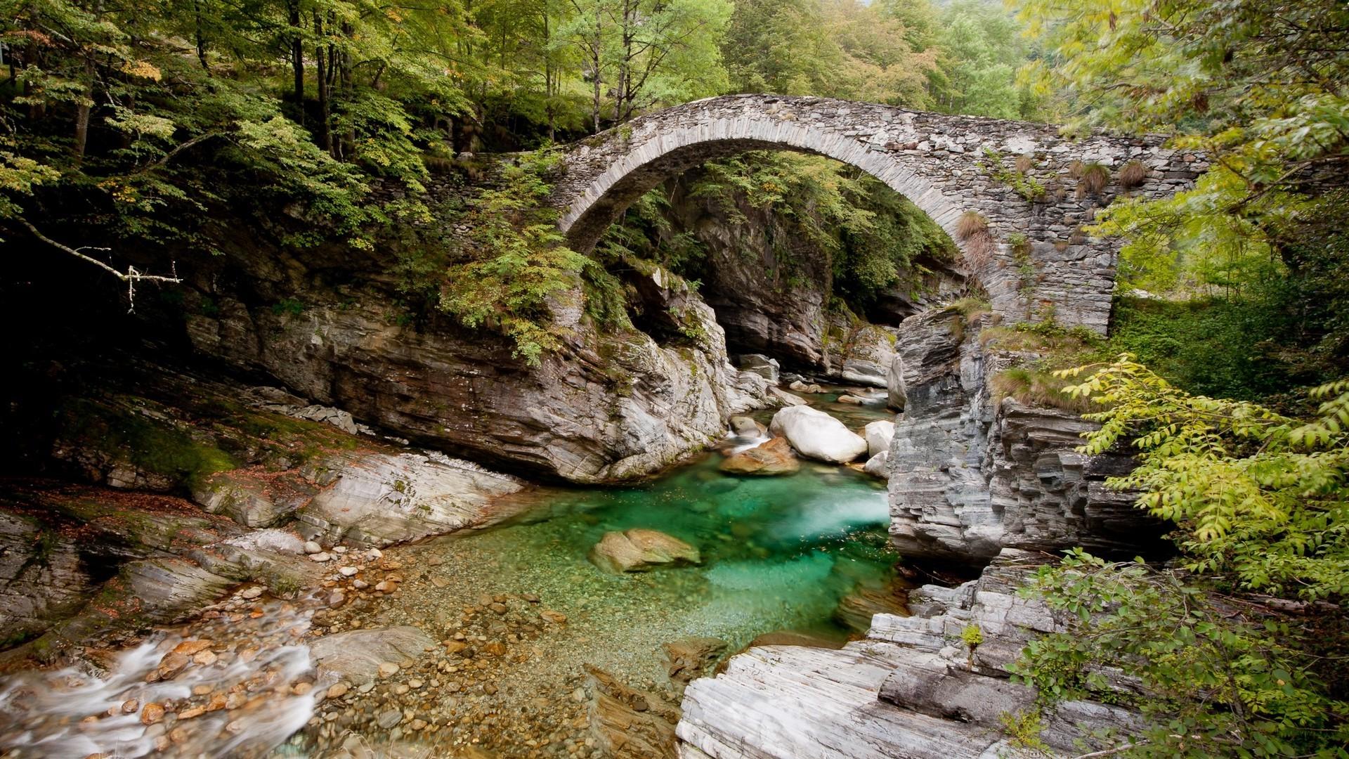 1920x1080 nature forest trees river bridge wallpaper