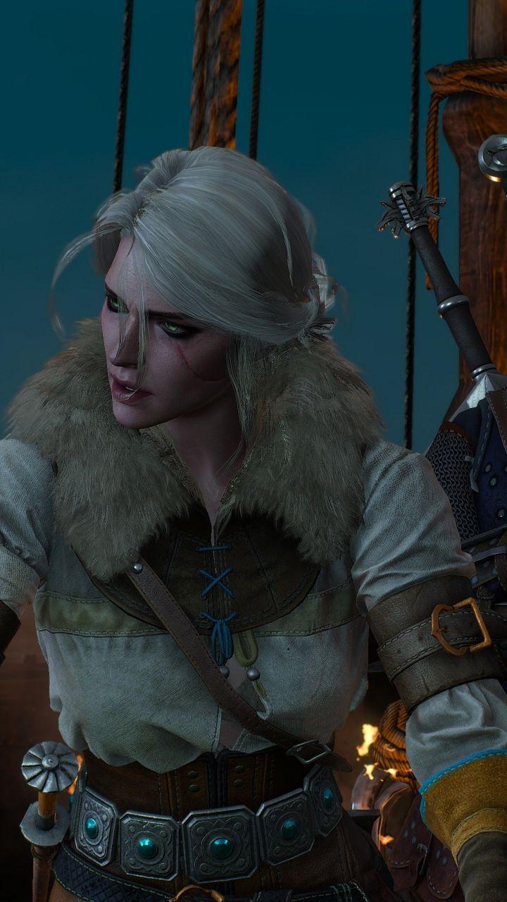 All warriors together, The Witcher 3: Wild Hunt, 720x1280 wallpaper