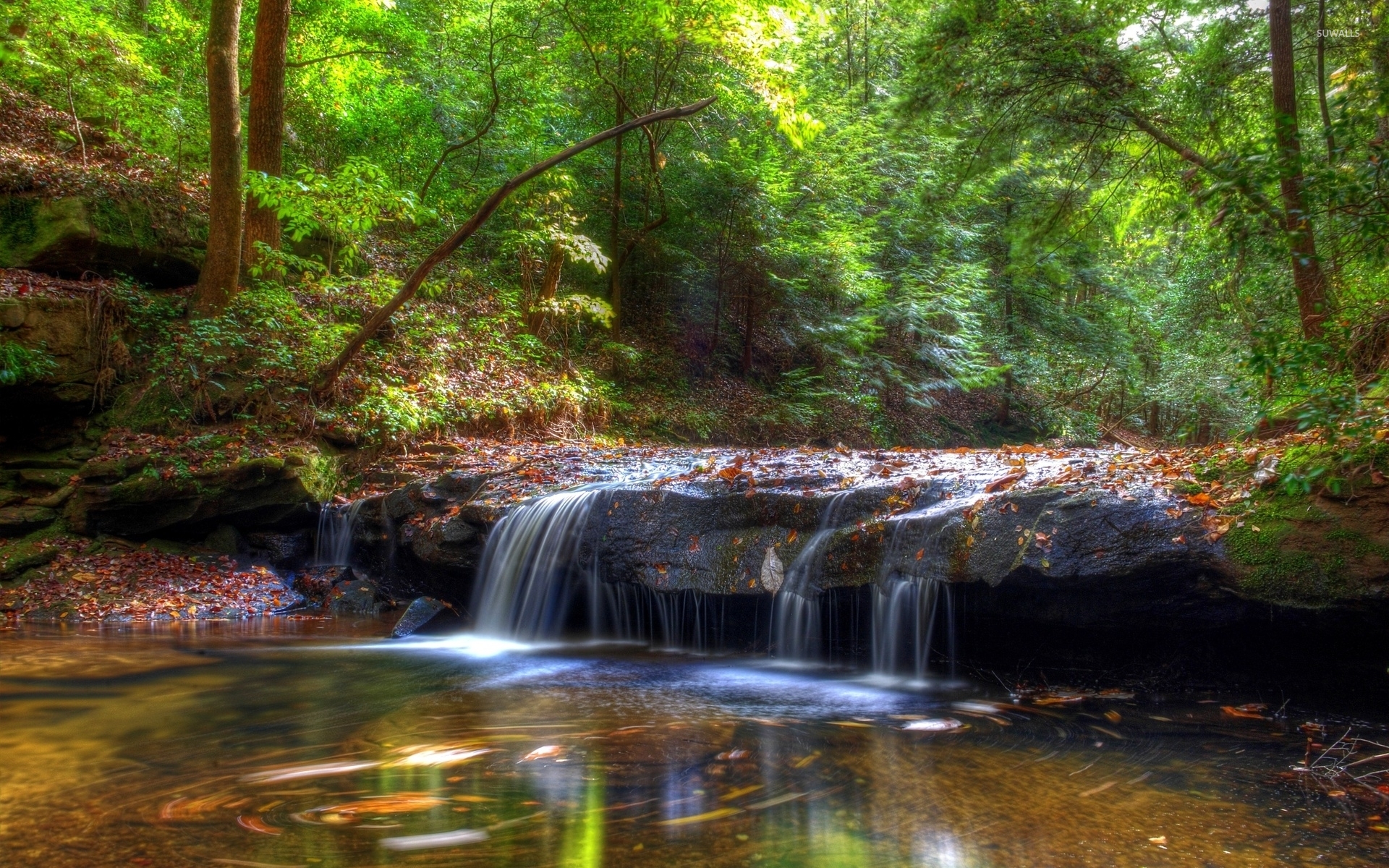 Small waterfall in the green forest wallpaper wallpaper