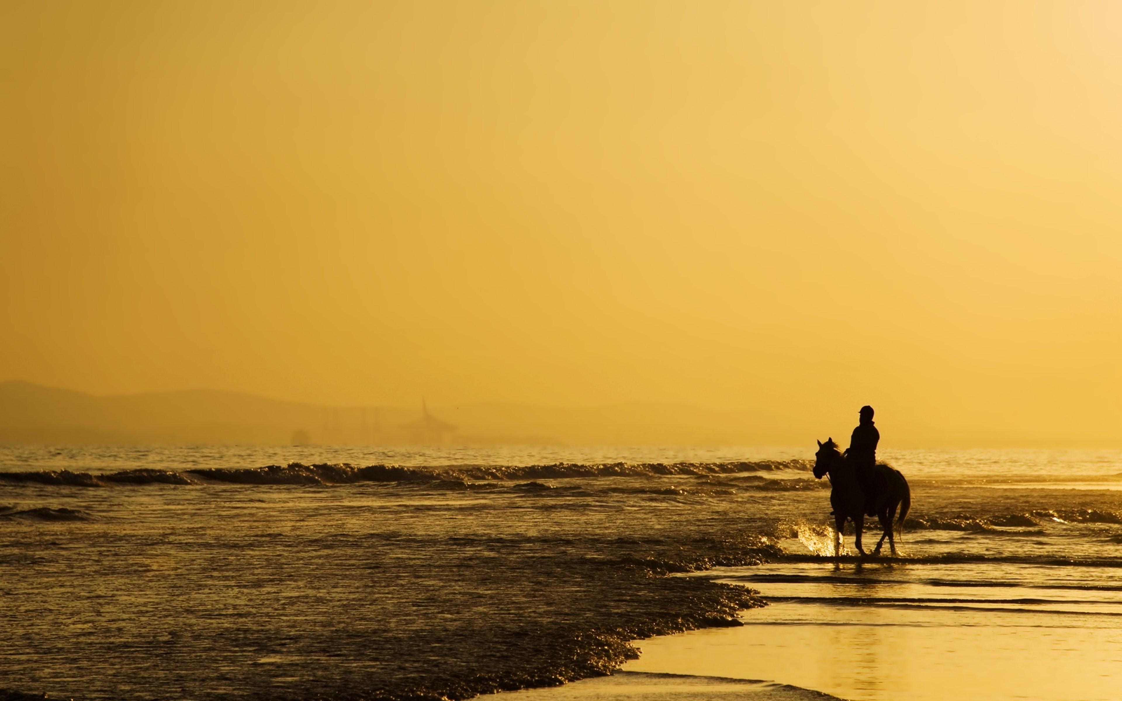 Sea, Beaches, Horse, Sky, Yellow, Landscapes, Nature, Earth, Alone