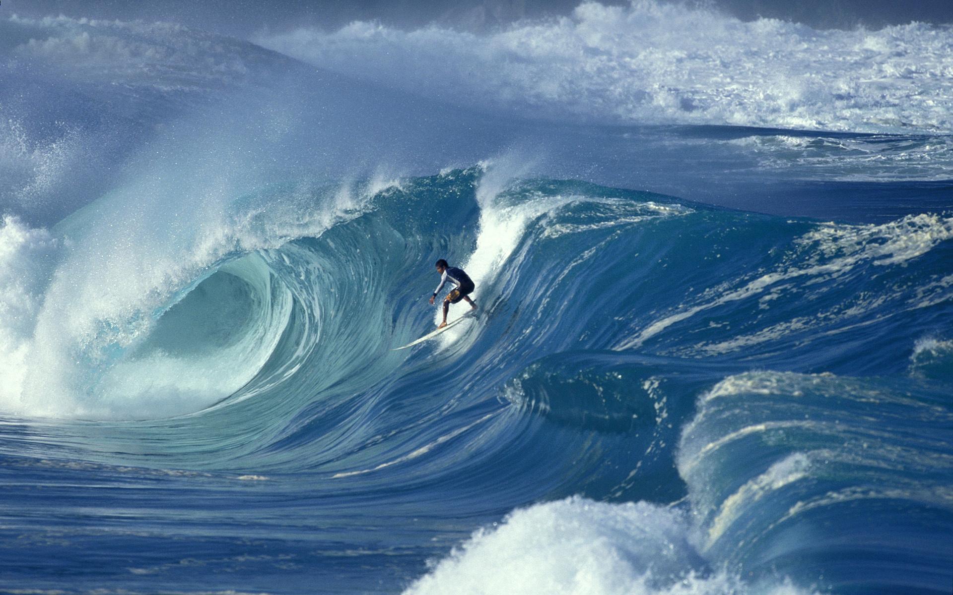 Wallpaper wave, surfing, big wave, waimea shorebreak, hawaii desktop