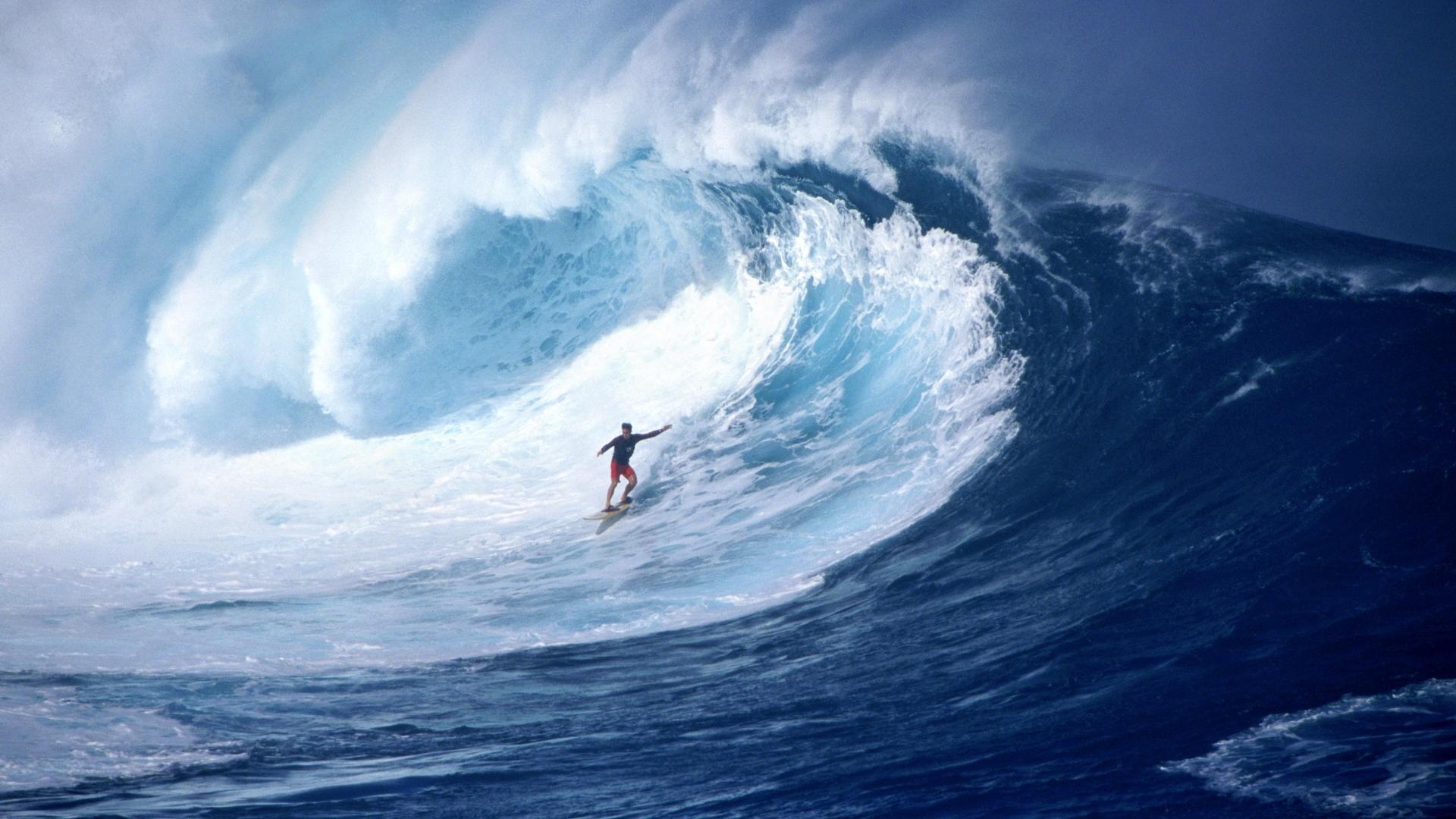 A surfer rides a big wave
