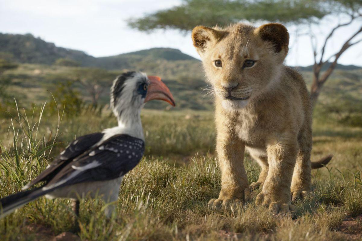 Lion King 2019 Review: Disney's Live Action Update Is Pretty But