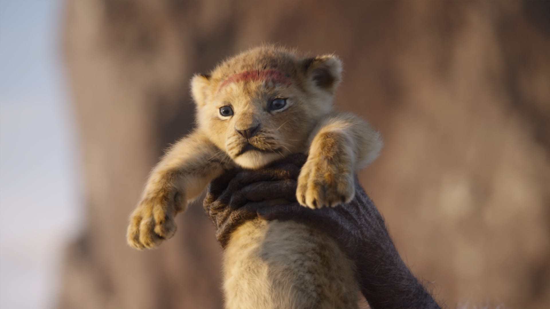 The Lion King' On Track To Gross $150 Million At The Box Office