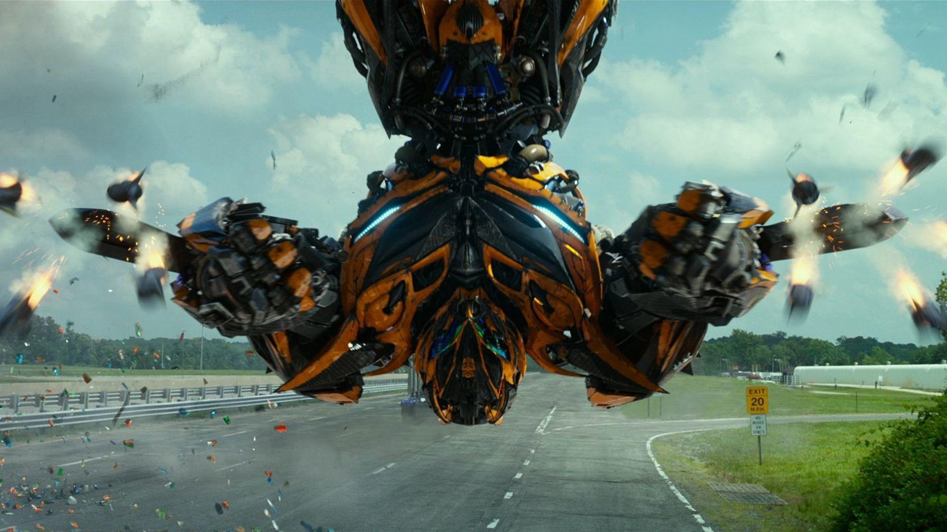 Bumblebee Wallpaper