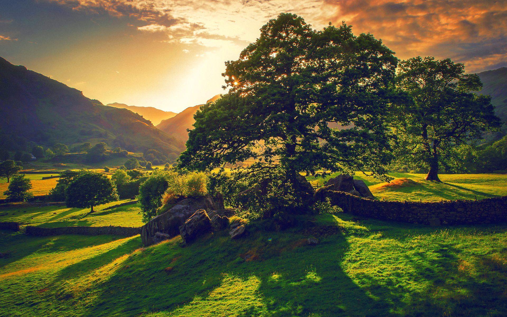 Sunset green landscape - My PC Wallpaper Collections