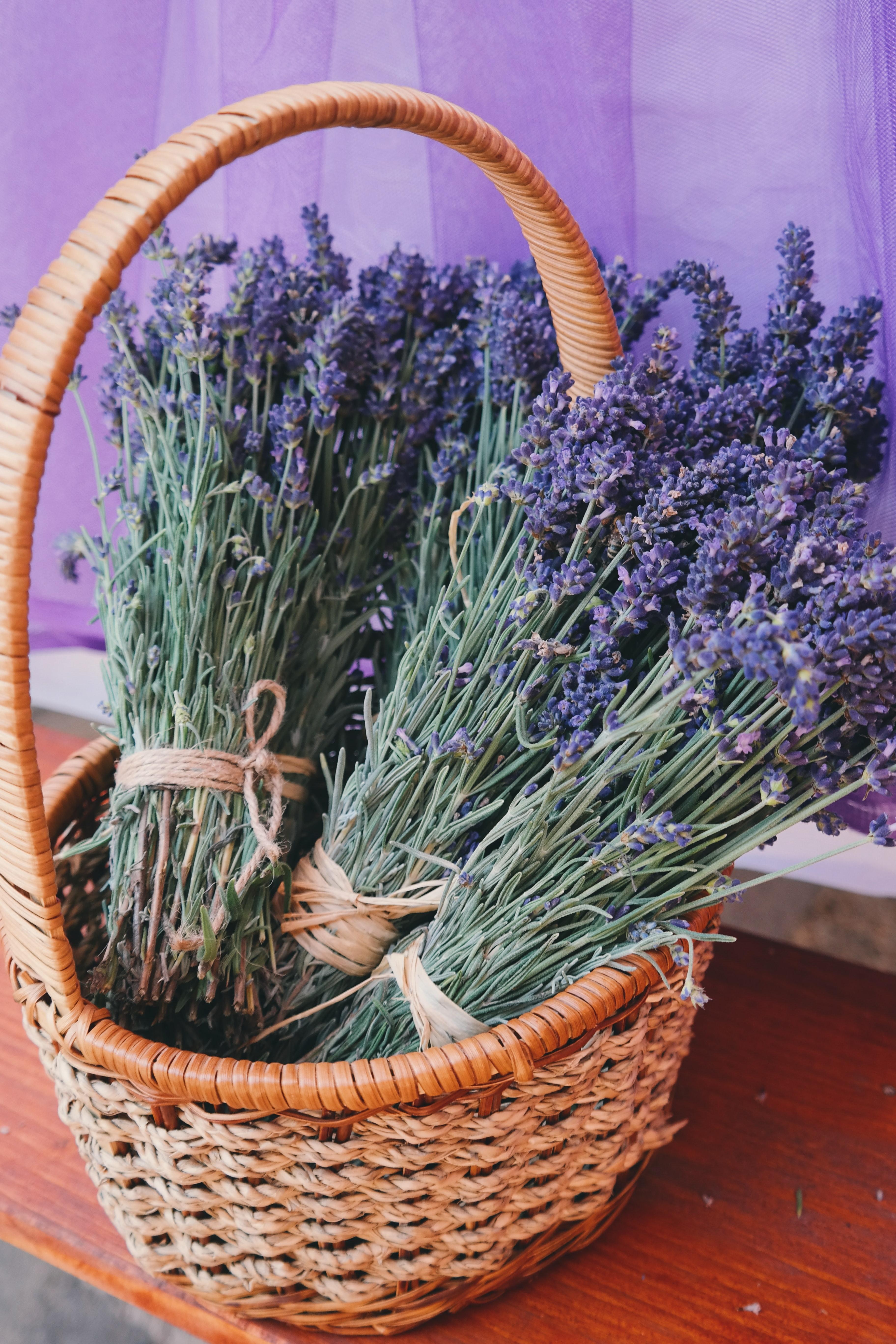 Lavender Flowers in Woven Basket · Free