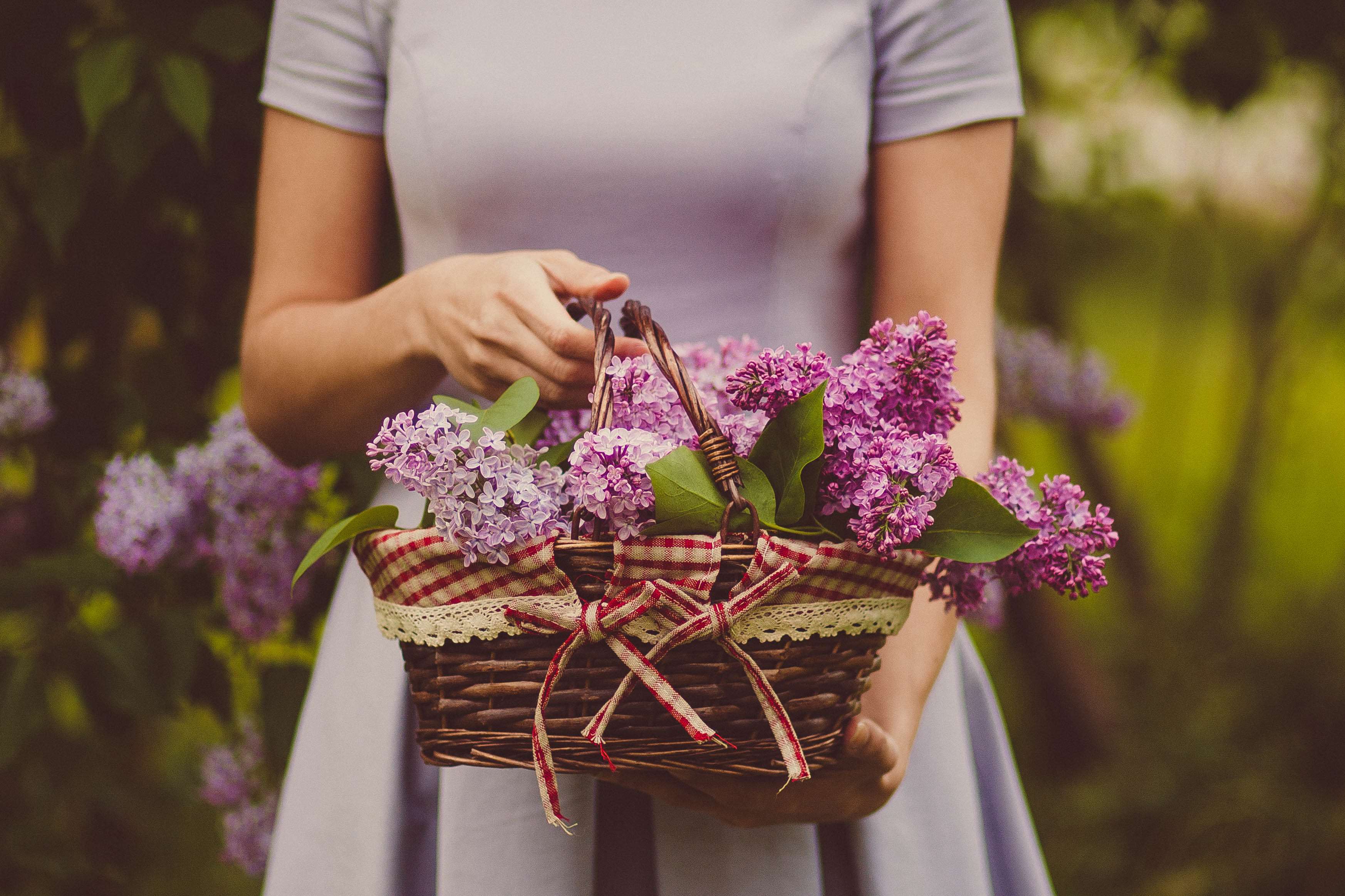 basket, fashion, flower basket, flowers, girl, hands