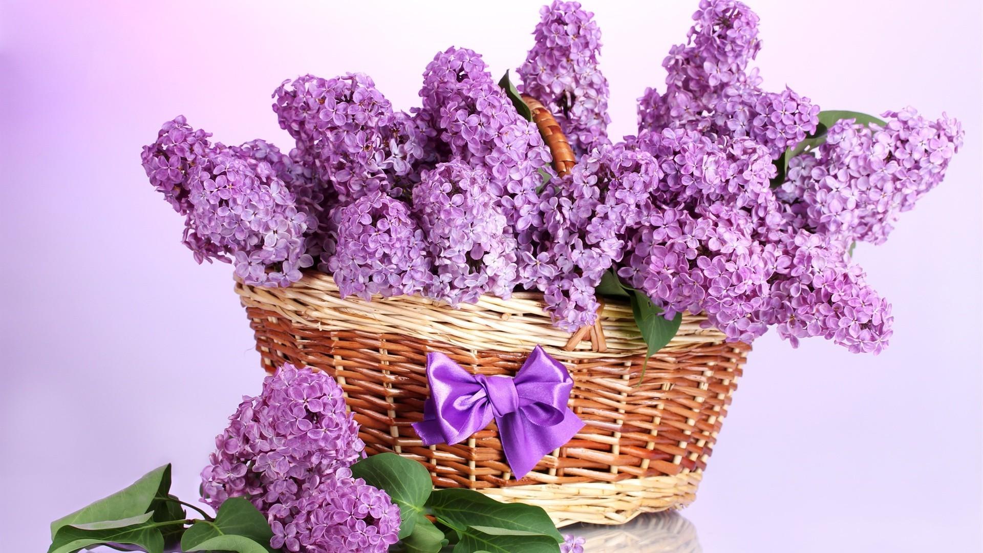 Basket of lilacs
